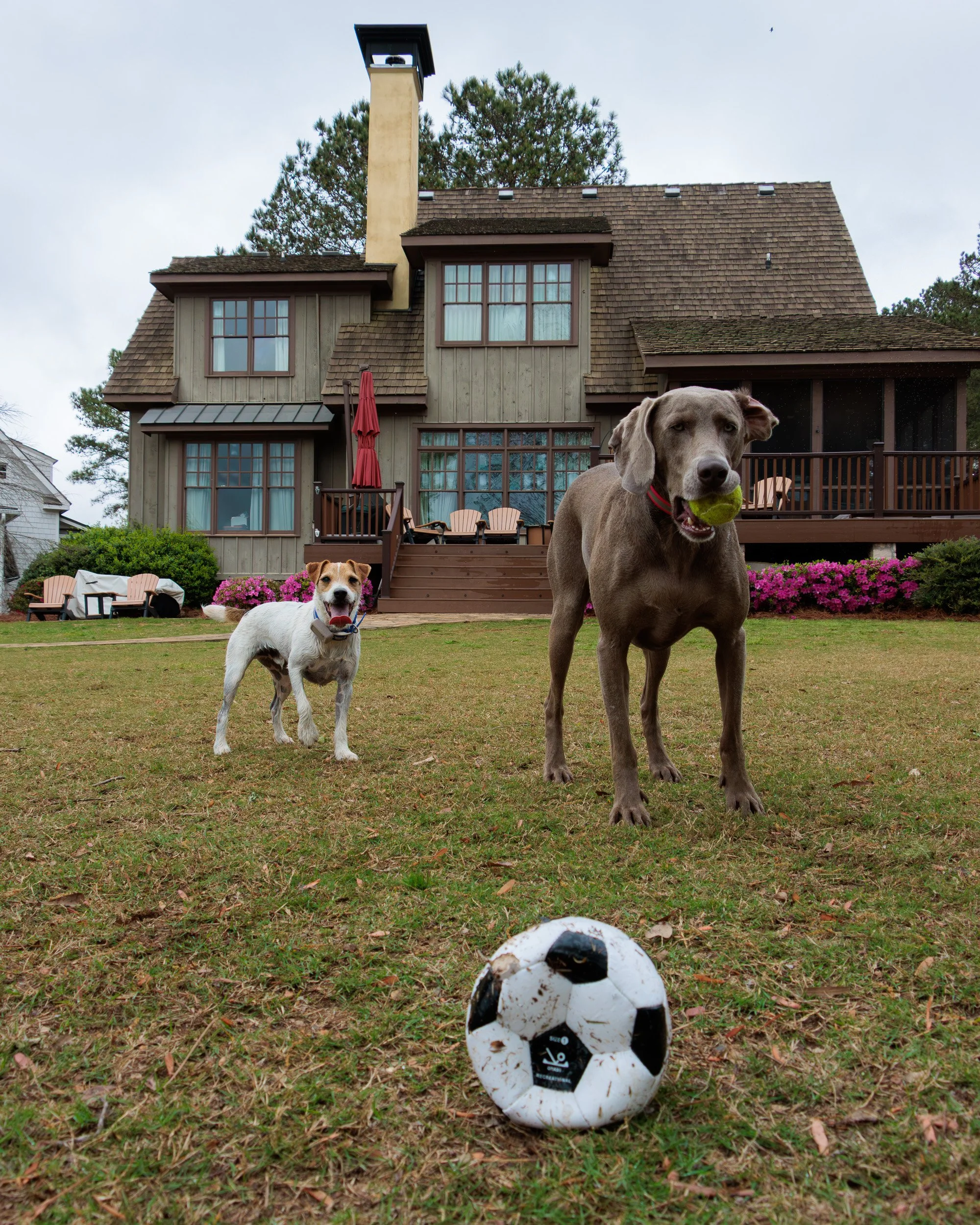 From Snow Day to Soccer Day.-13.jpg