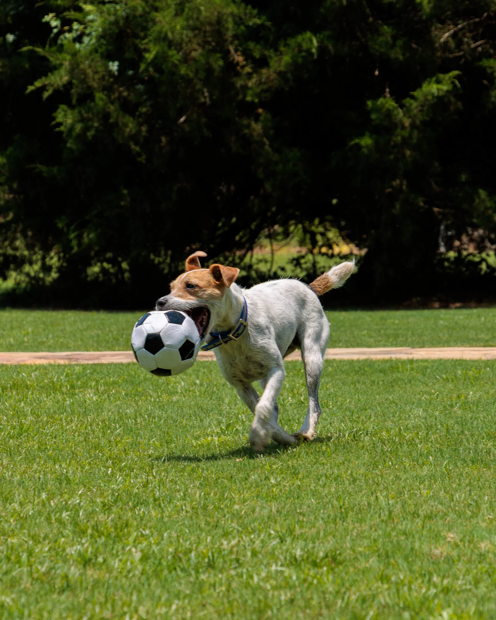 Snow Day, Soccer Day, Lake Day-06.jpg