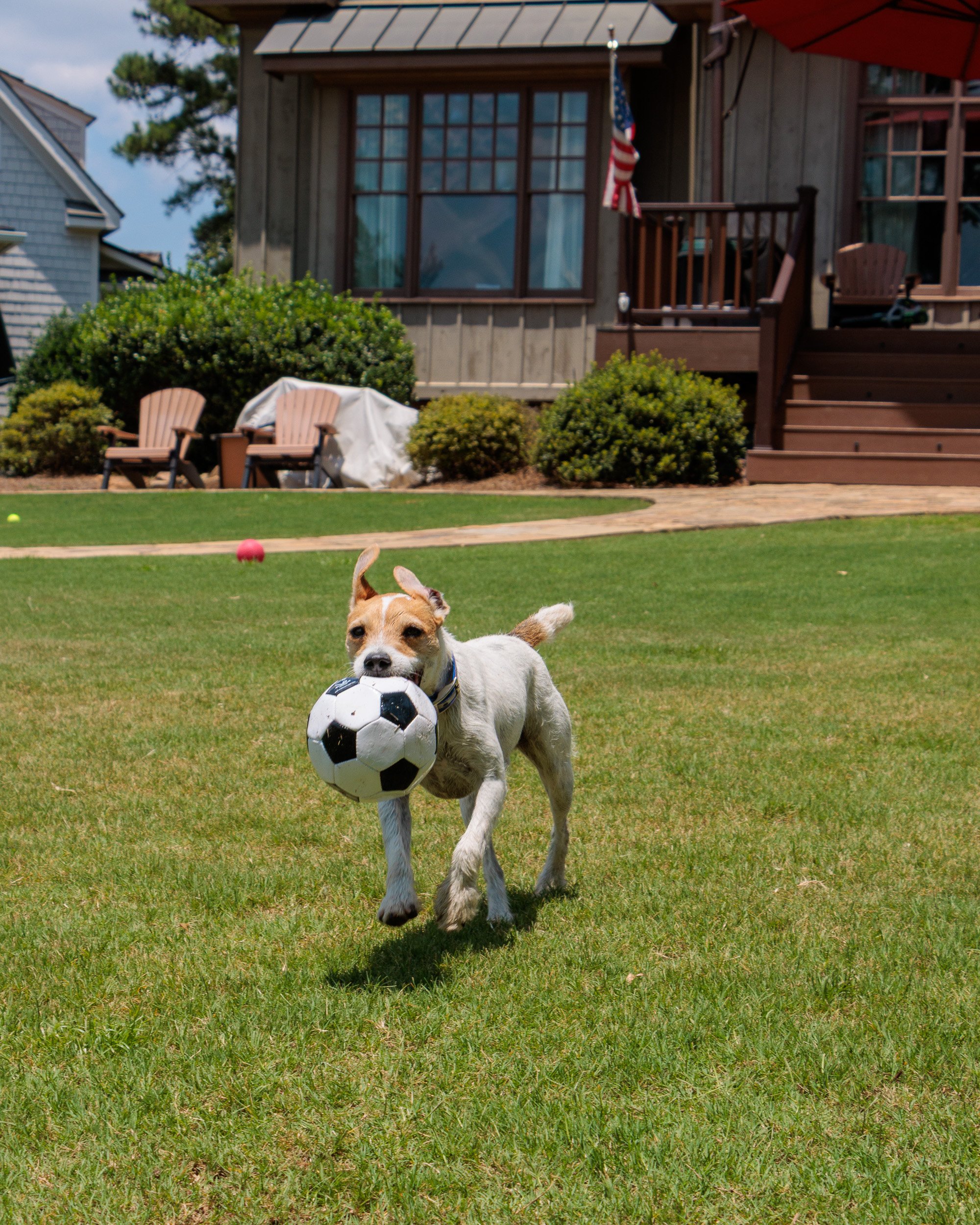 Snow Day, Soccer Day, Lake Day-05.jpg