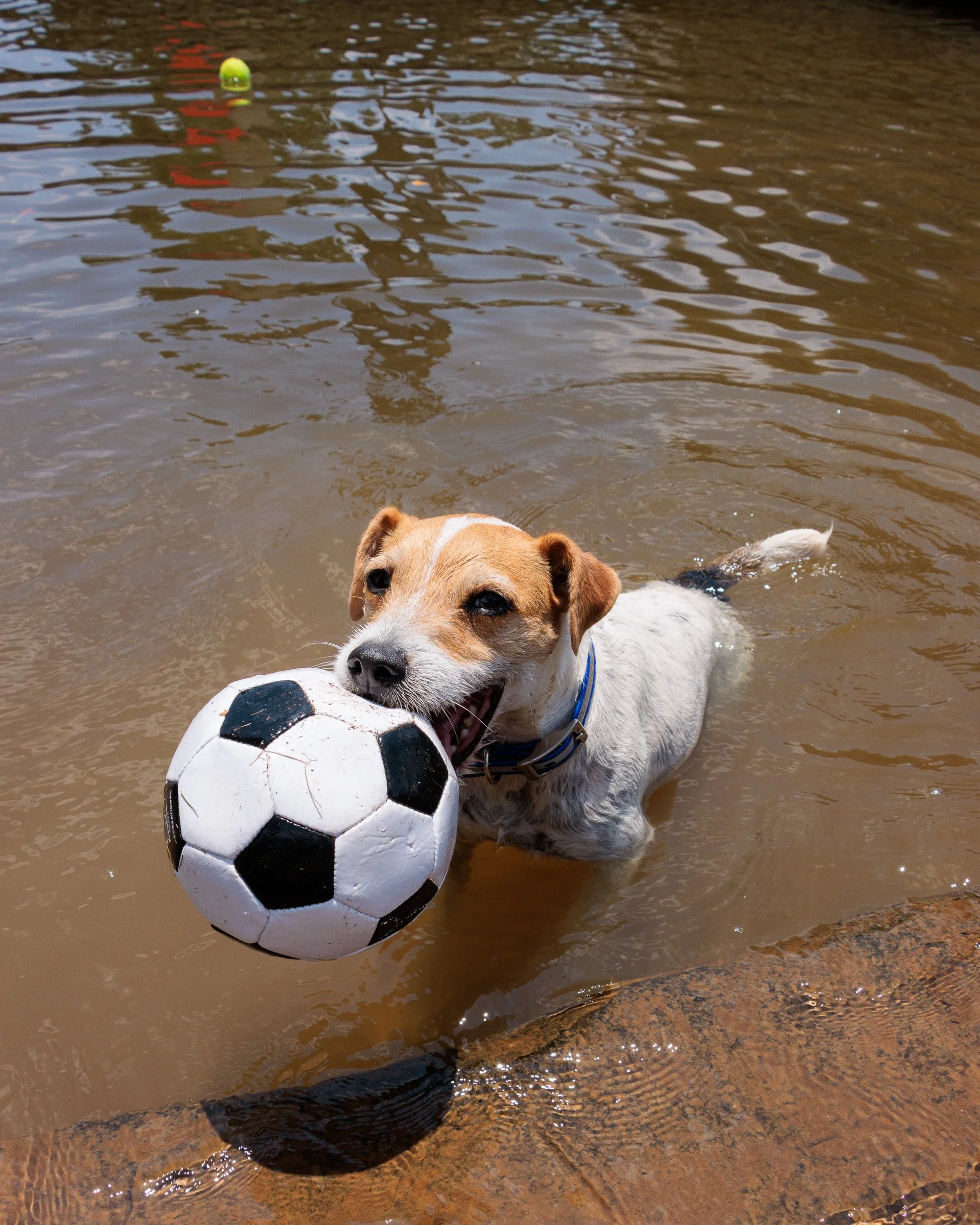 Snow Day, Soccer Day, Lake Day-07.jpg