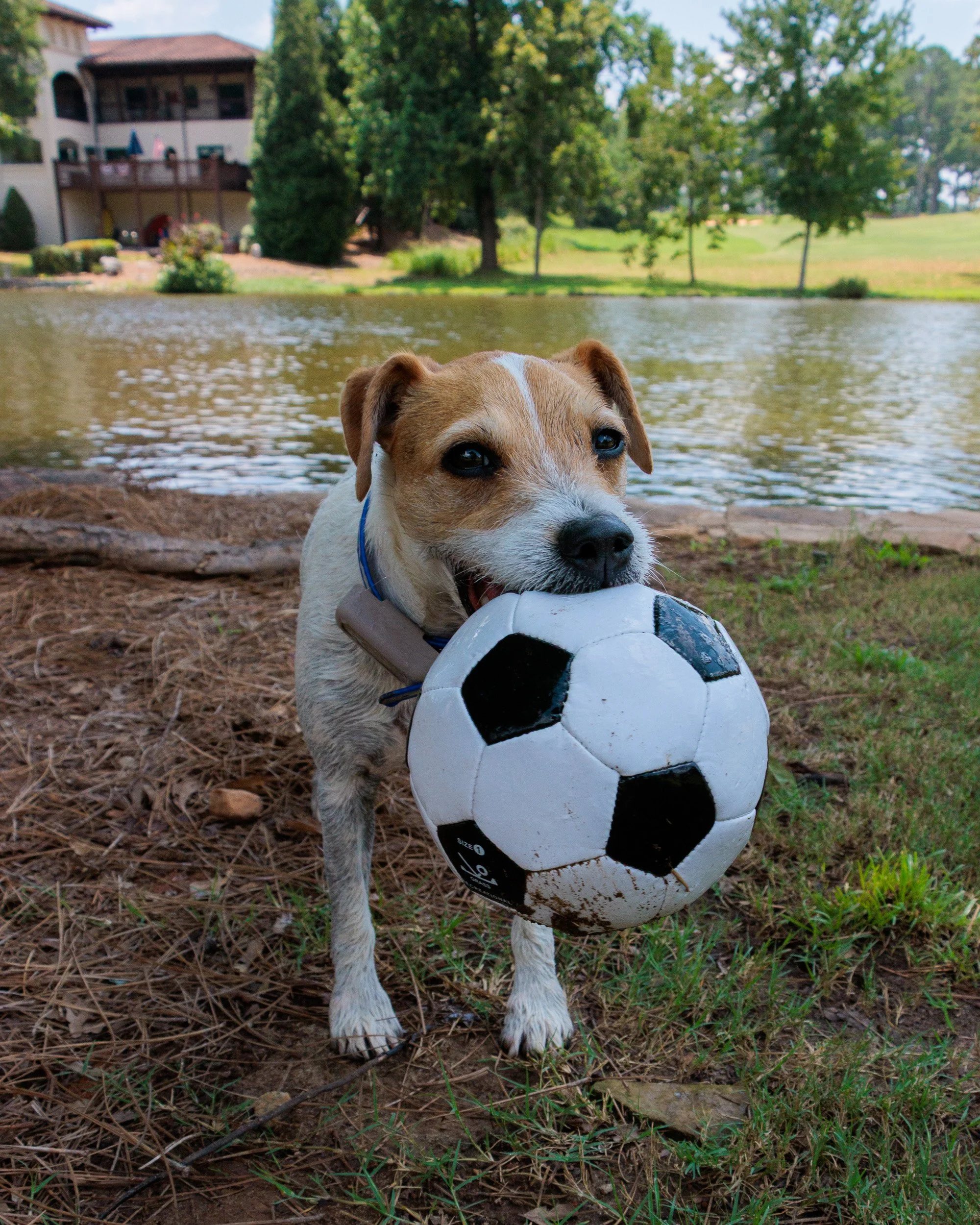 Snow Day, Soccer Day, Lake Day-08.jpg