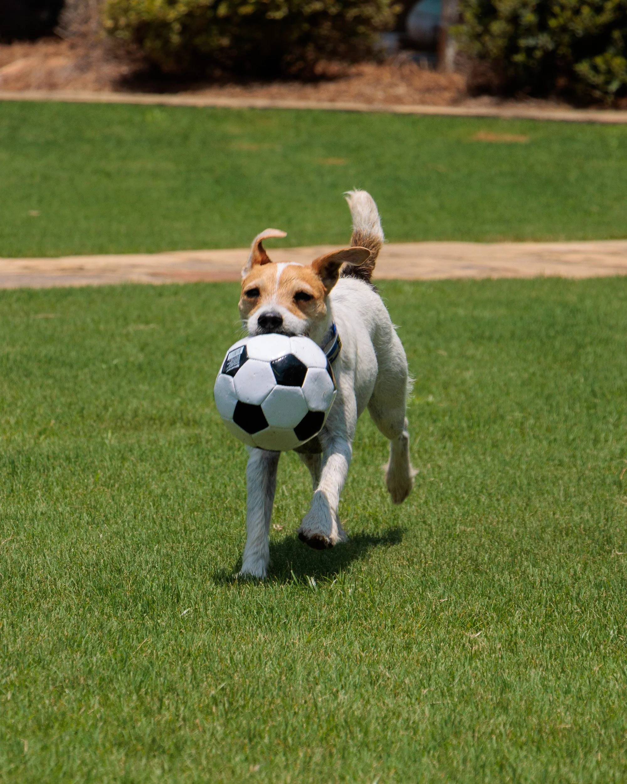 Snow Day, Soccer Day, Lake Day-11.jpg