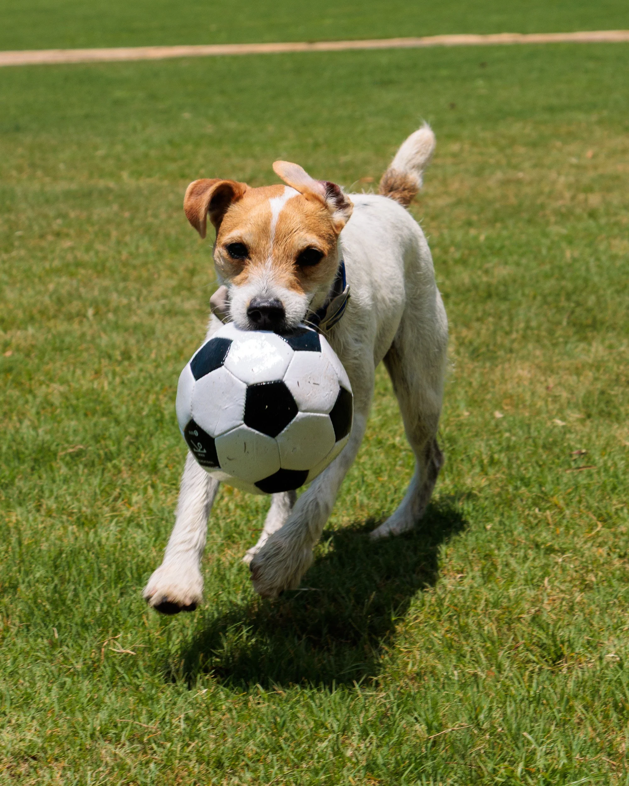 Snow Day, Soccer Day, Lake Day-15.jpg