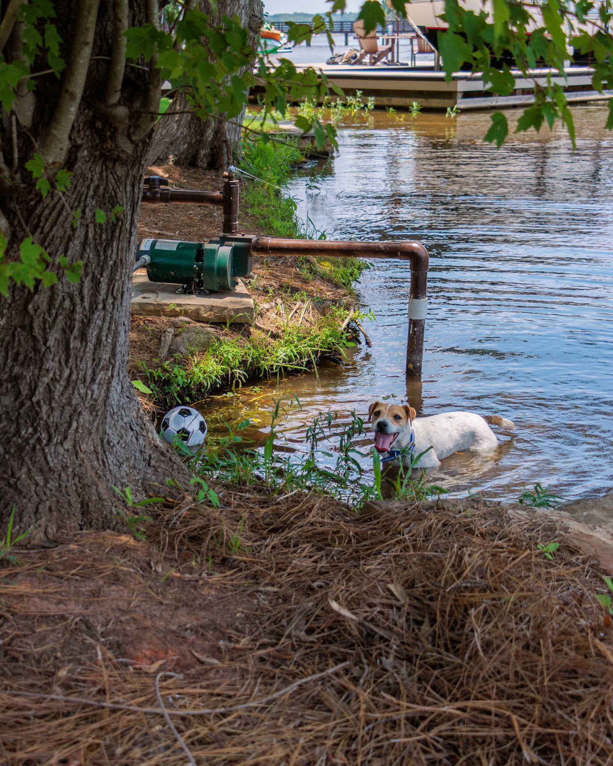 Snow Day, Soccer Day, Lake Day-16.jpg