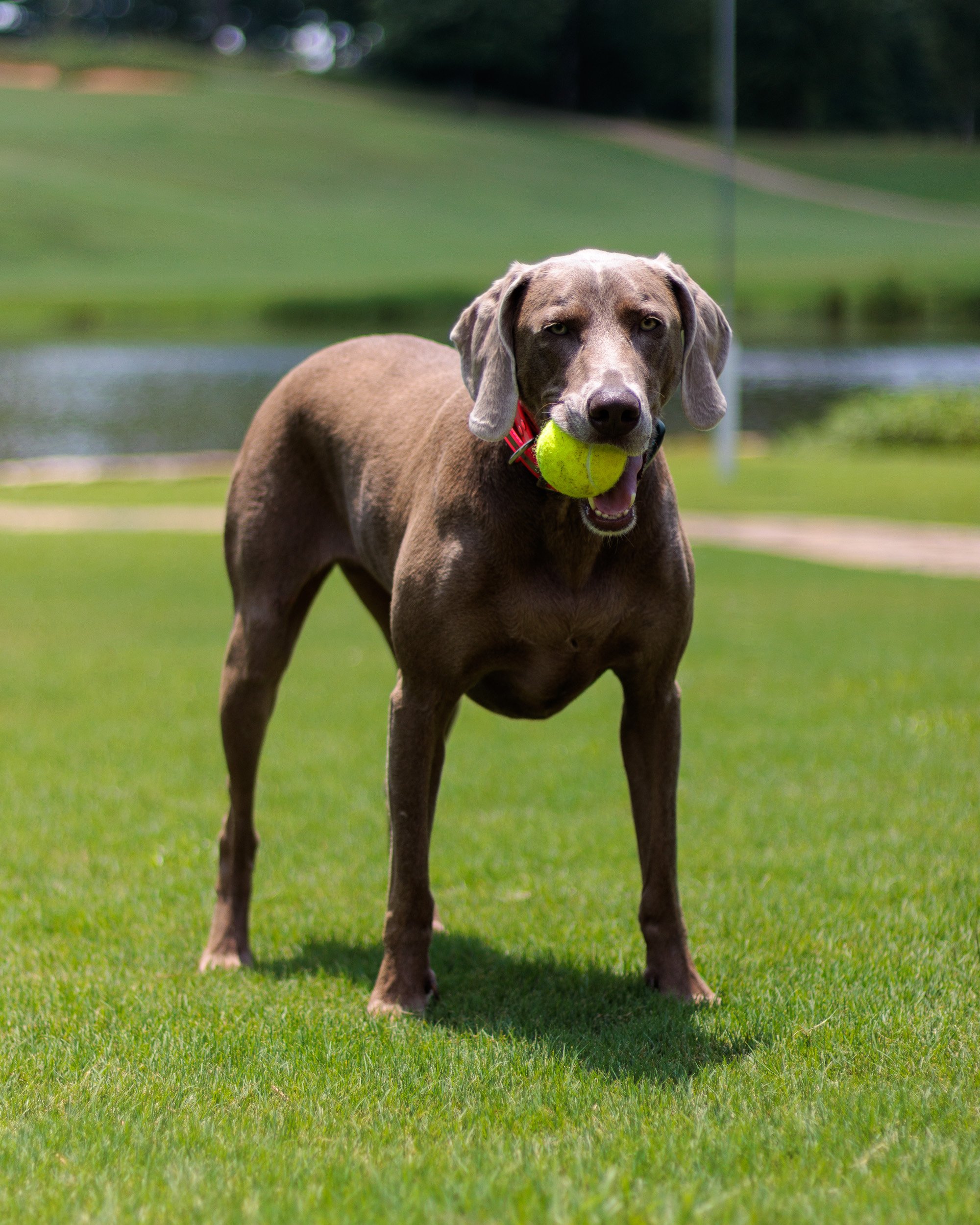 Snow Day, Soccer Day, Lake Day-18.jpg