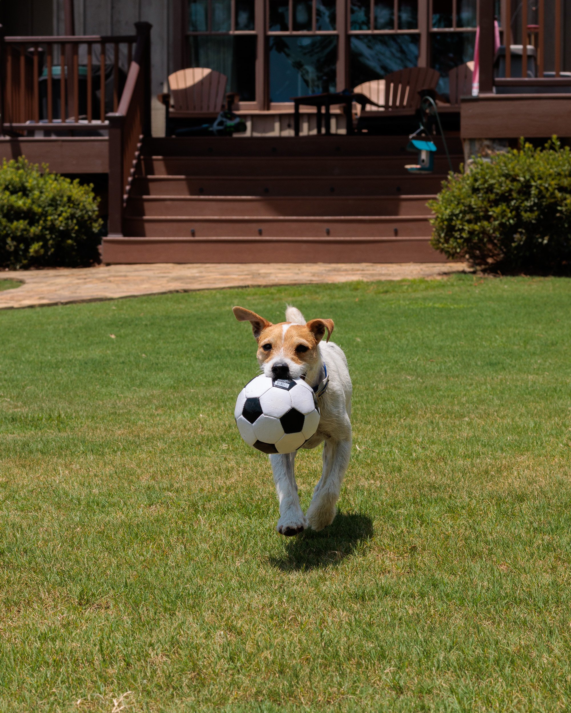Snow Day, Soccer Day, Lake Day-23.jpg