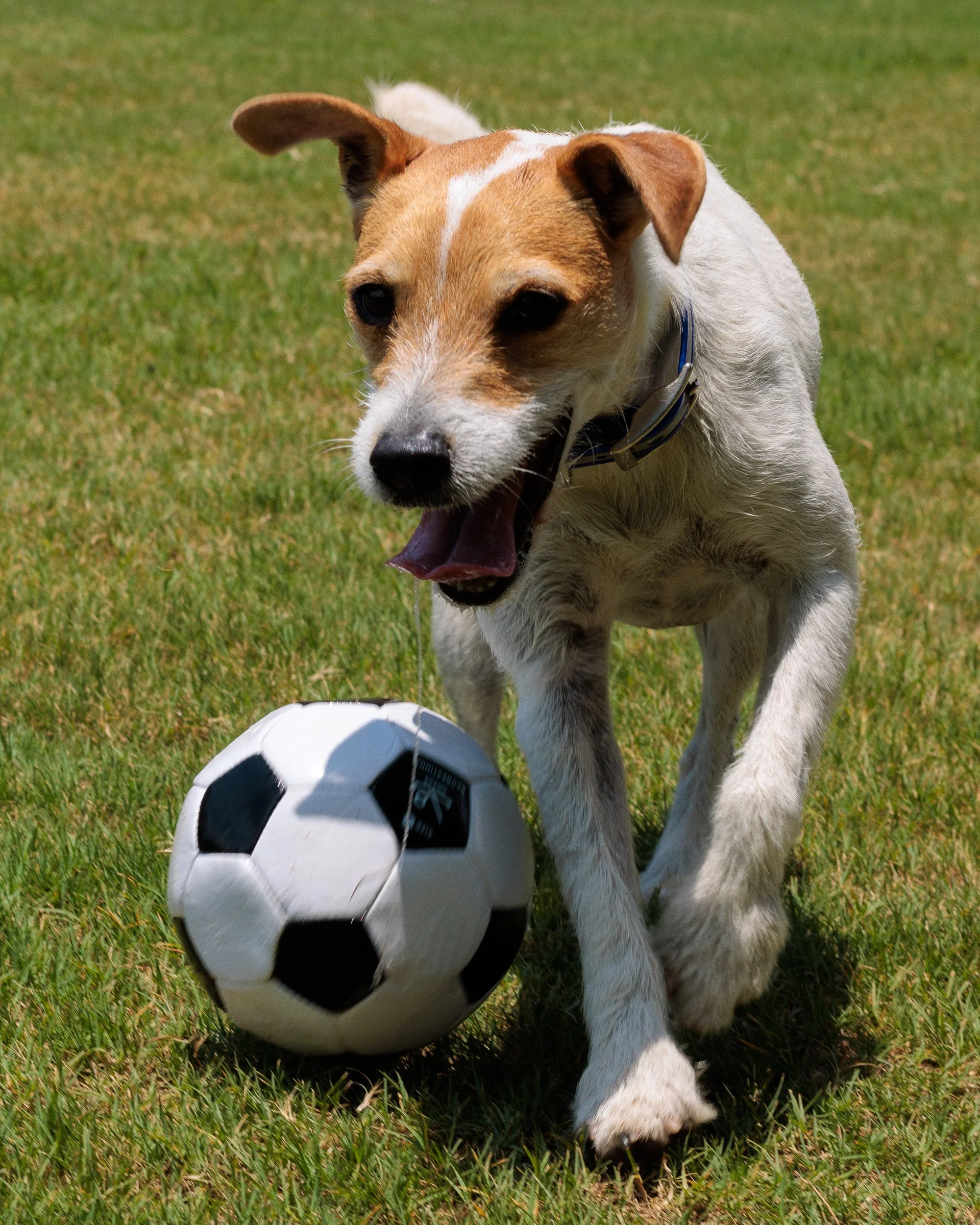 Snow Day, Soccer Day, Lake Day-24.jpg