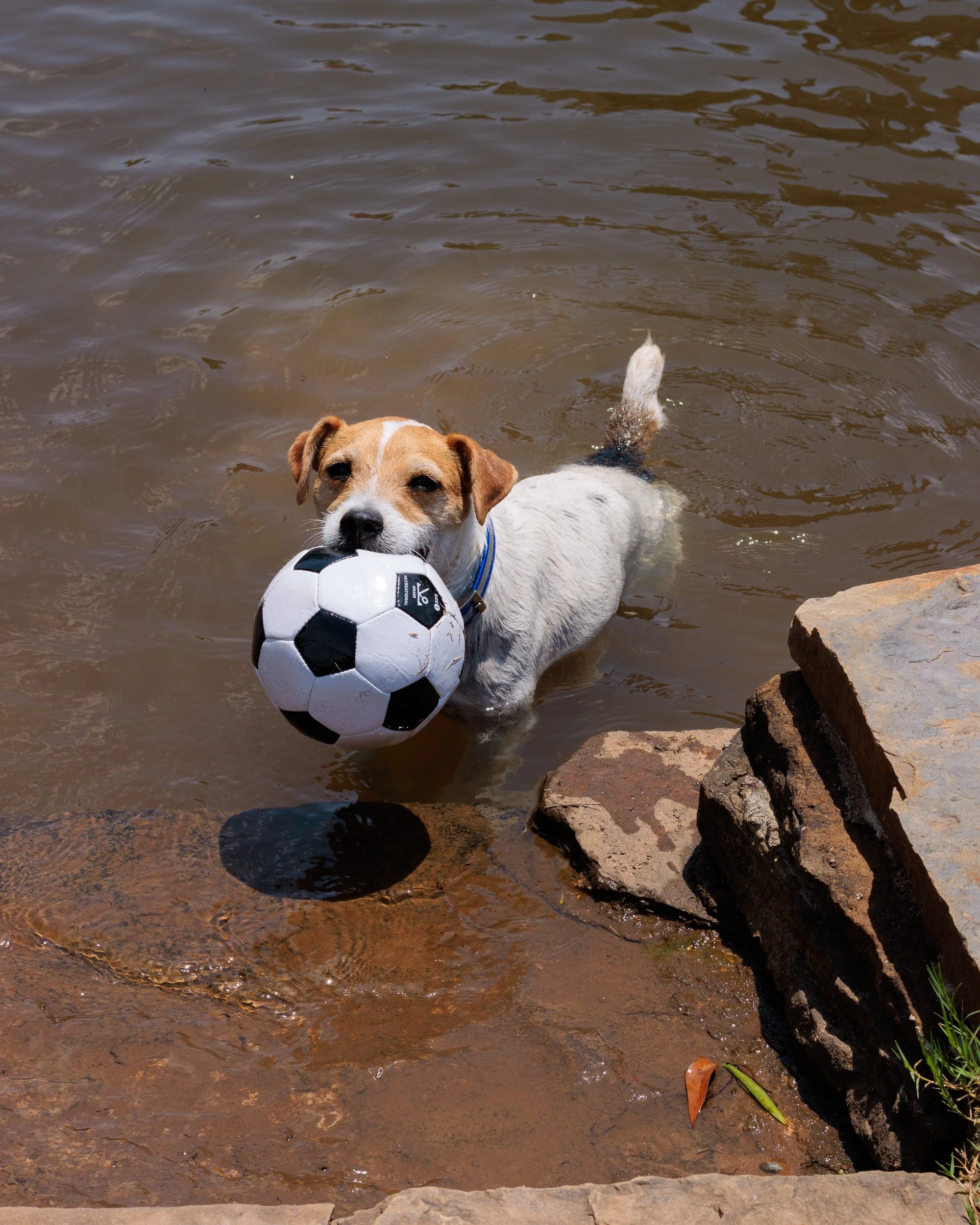 Snow Day, Soccer Day, Lake Day-25.jpg