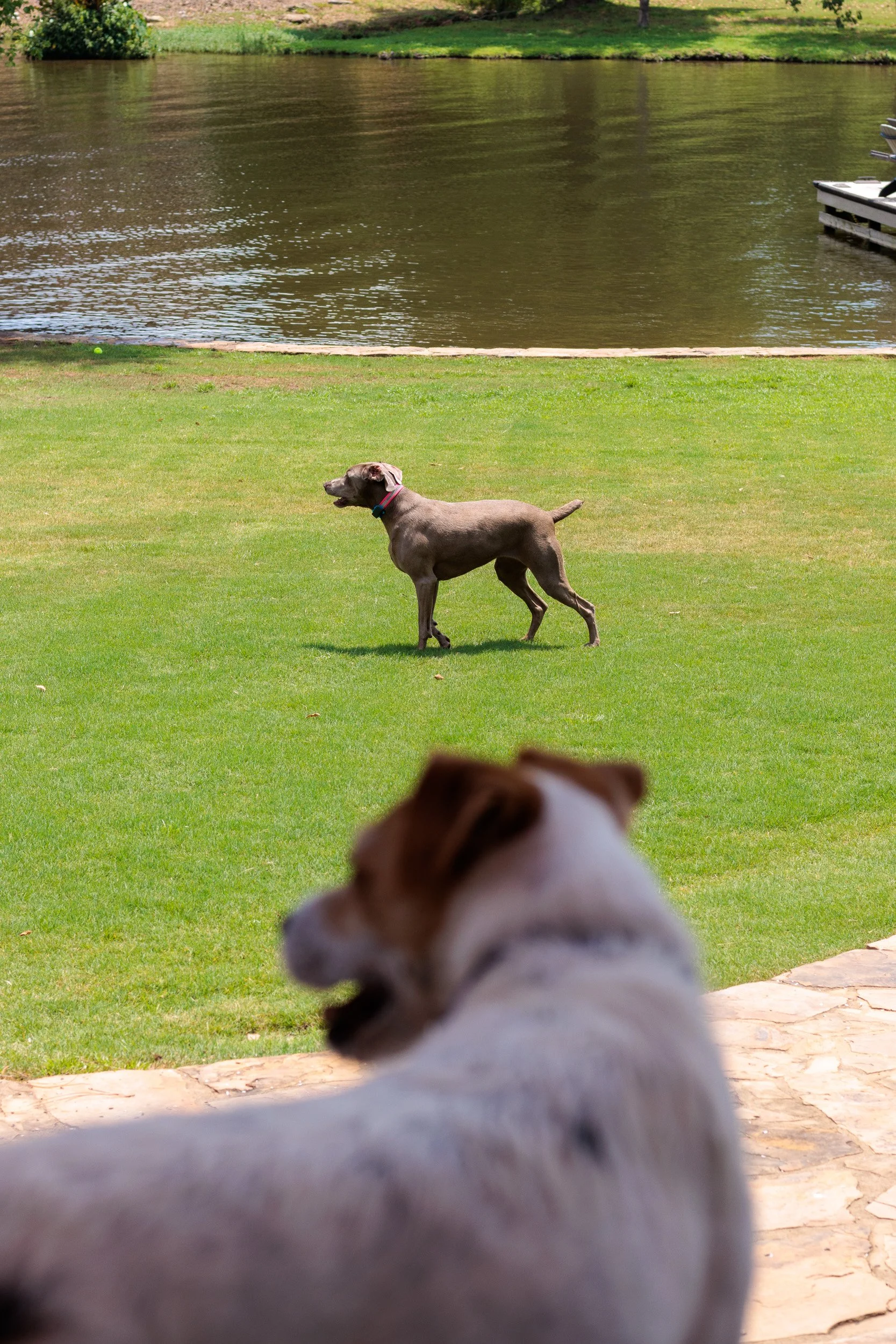 Snow Day, Soccer Day, Lake Day-27.jpg
