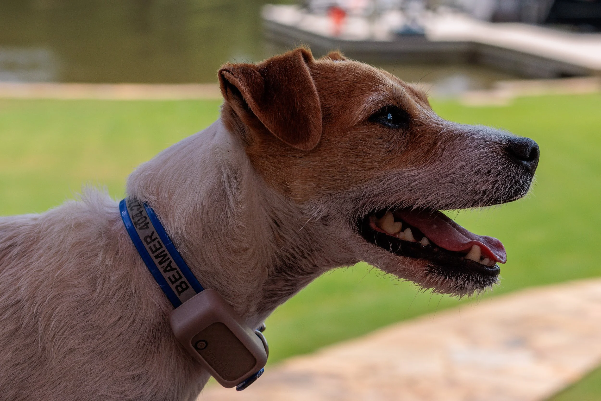 Snow Day, Soccer Day, Lake Day-28.jpg
