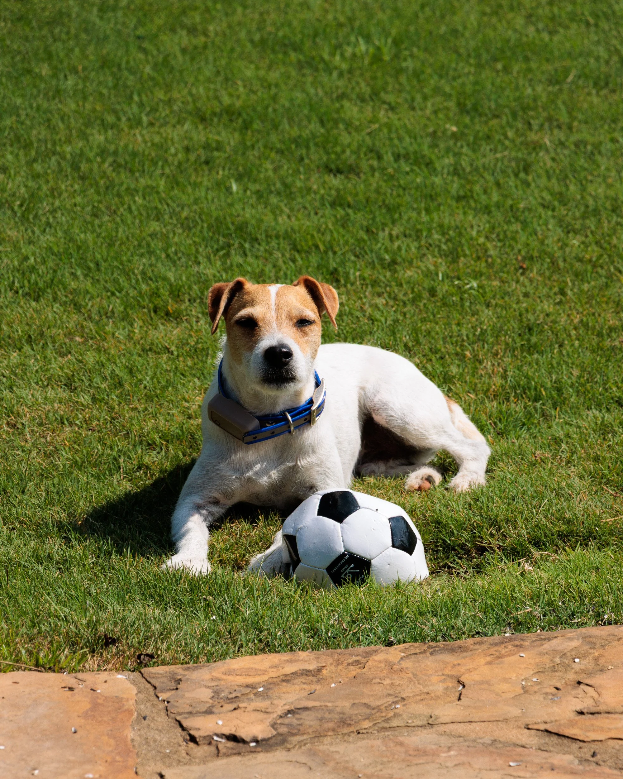 Snow Day, Soccer Day, Lake Day-30.jpg