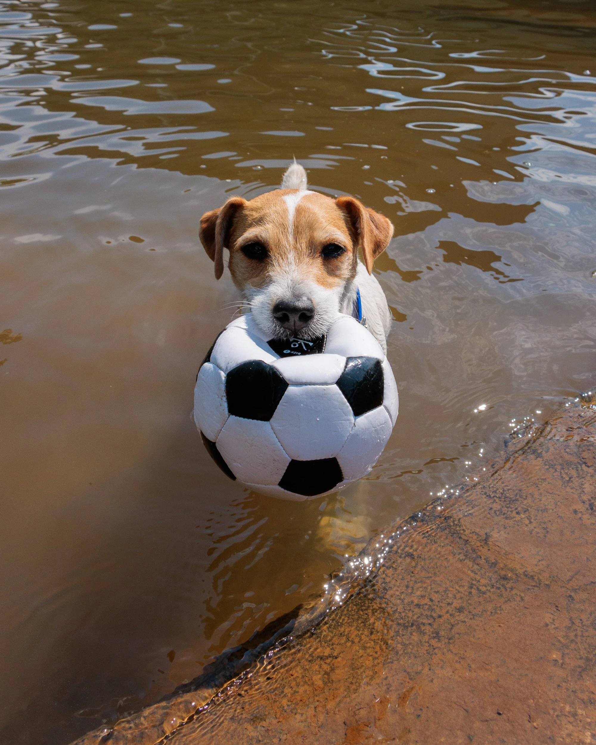 Snow Day, Soccer Day, Lake Day-32.jpg