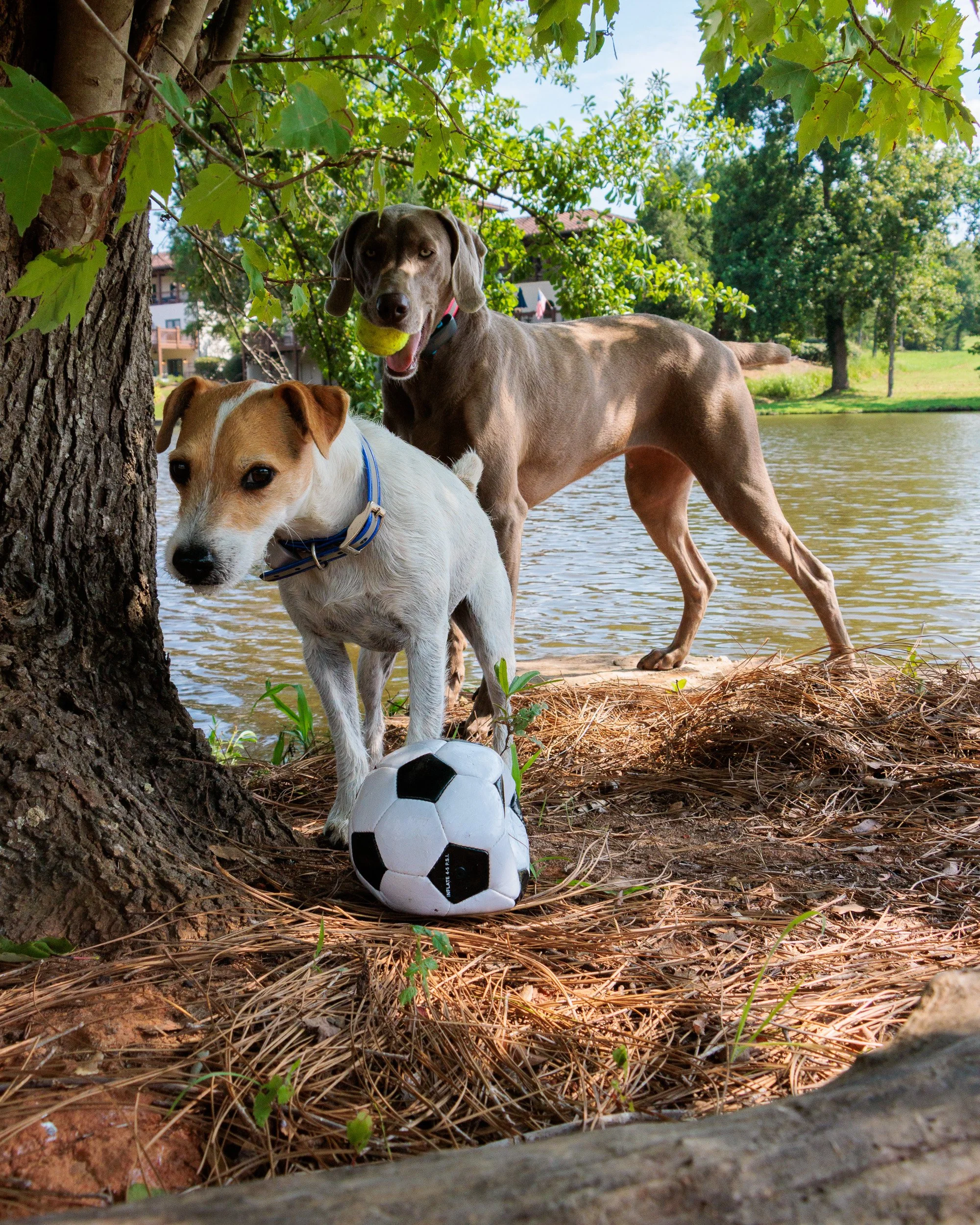 Snow Day, Soccer Day, Lake Day-33.jpg