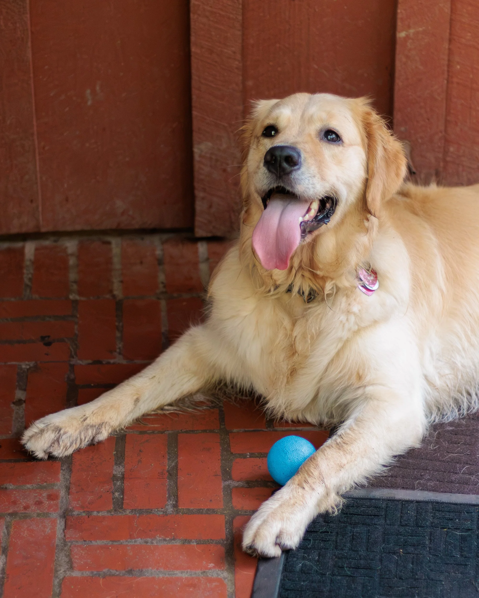 Poppy, All Grown Up-15.jpg