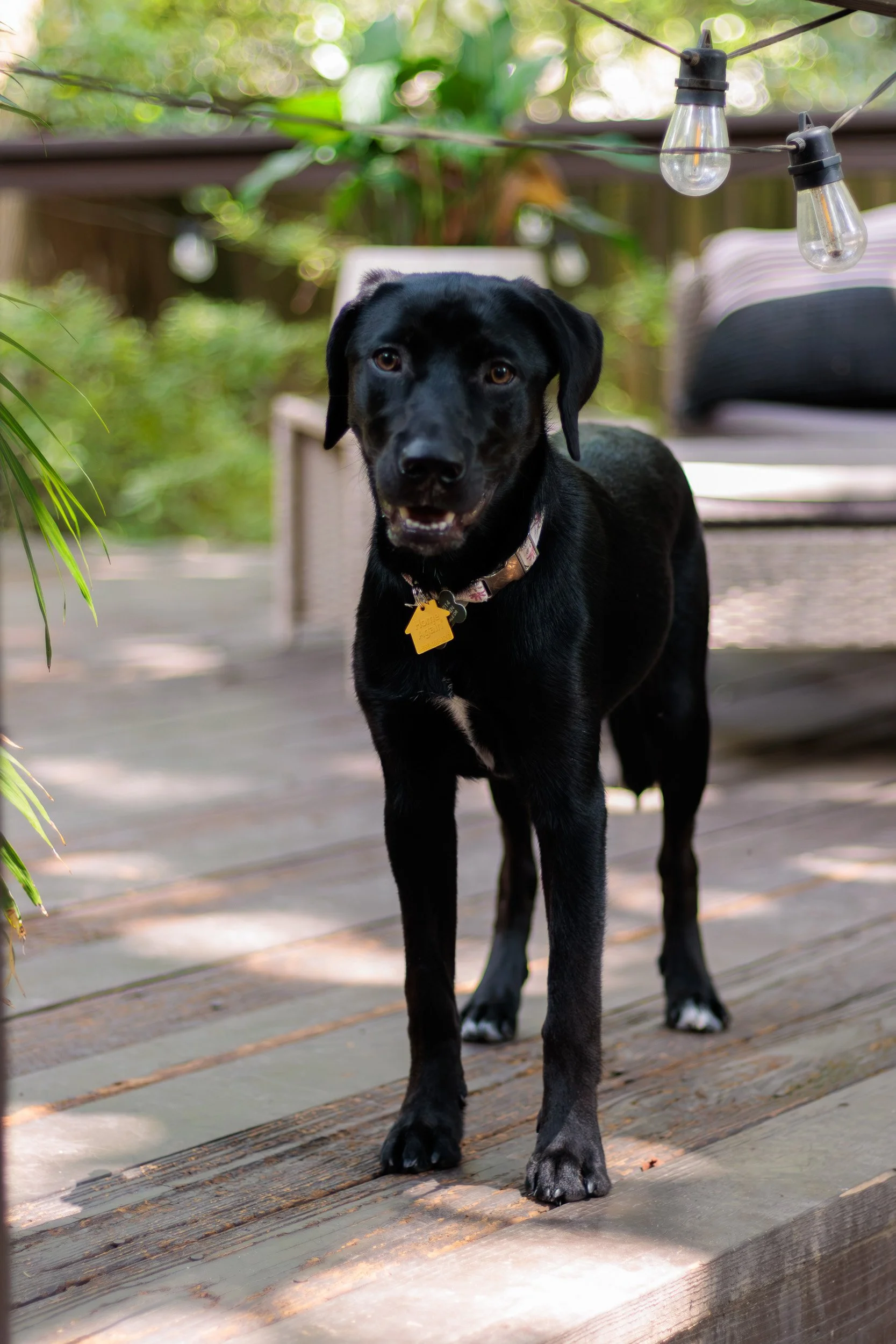 Poppy, All Grown Up-24.jpg