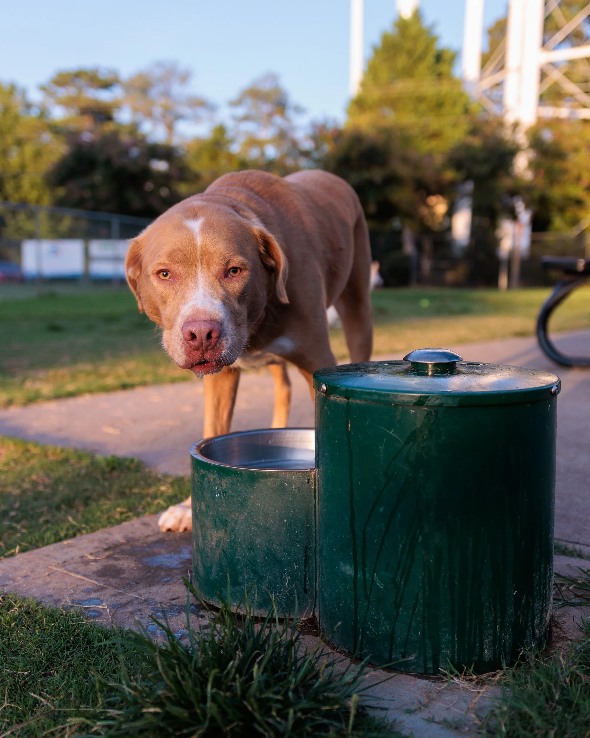 New Park, New Lens, No Light-05.jpg