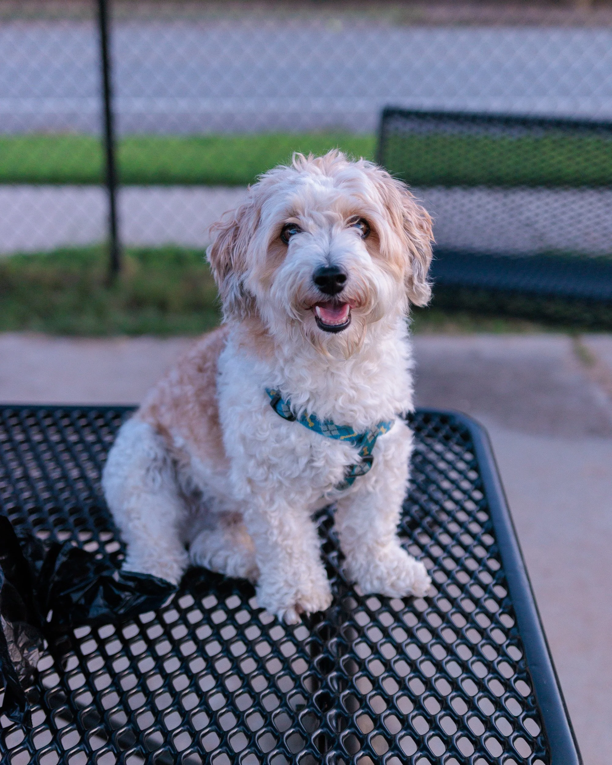New Park, New Lens, No Light-15.jpg