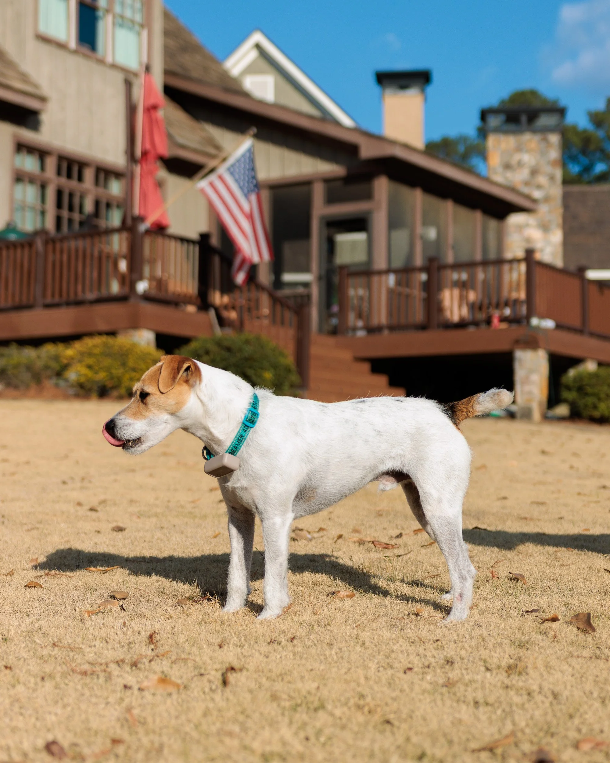 Fetch Before the Feast- Christmas Eve at the Lake-03.jpg
