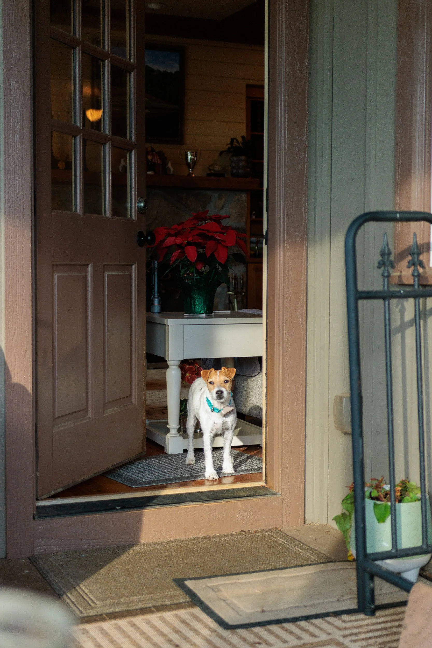 Last Morning at the Lake-01.jpg