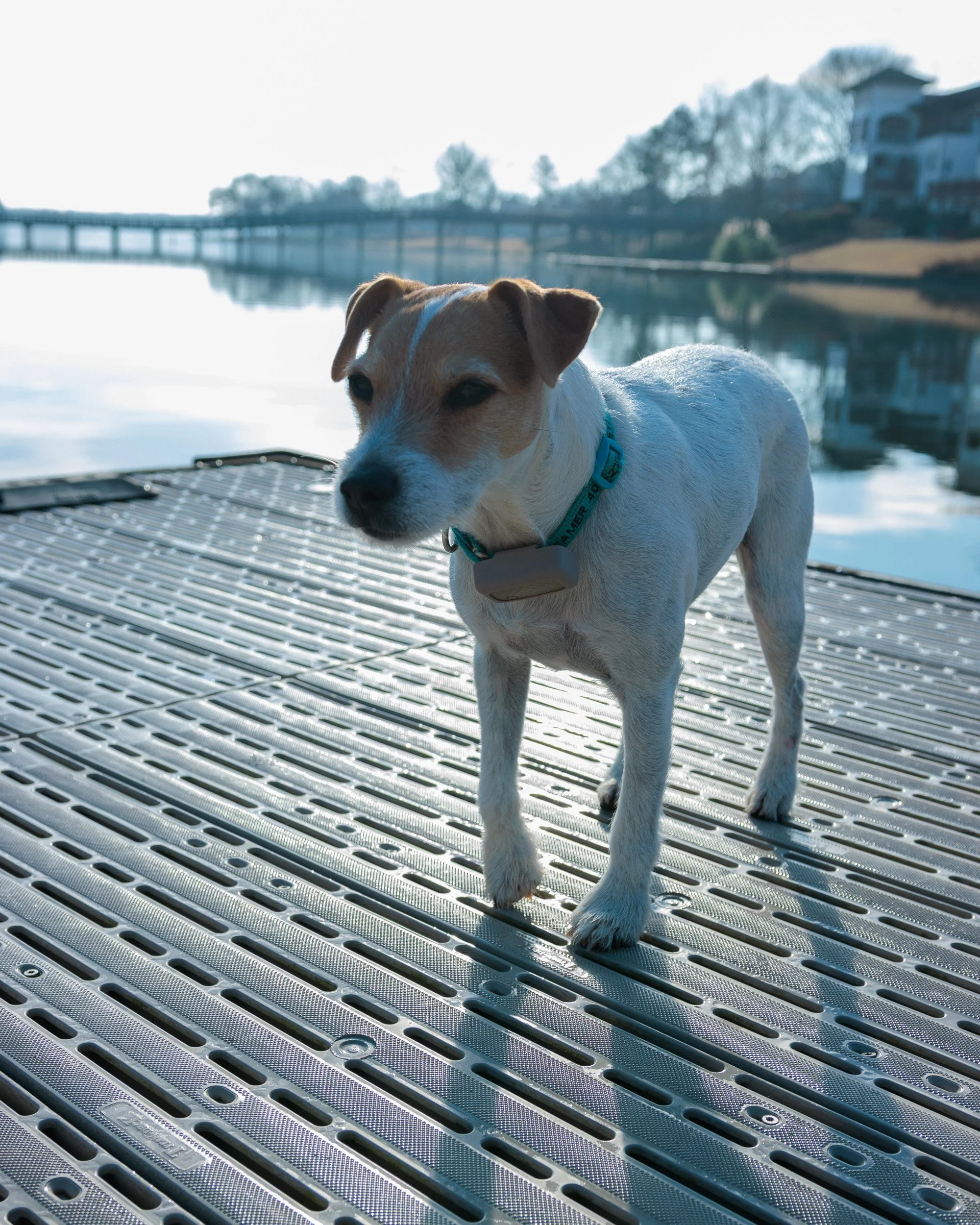 Last Morning at the Lake-04.jpg