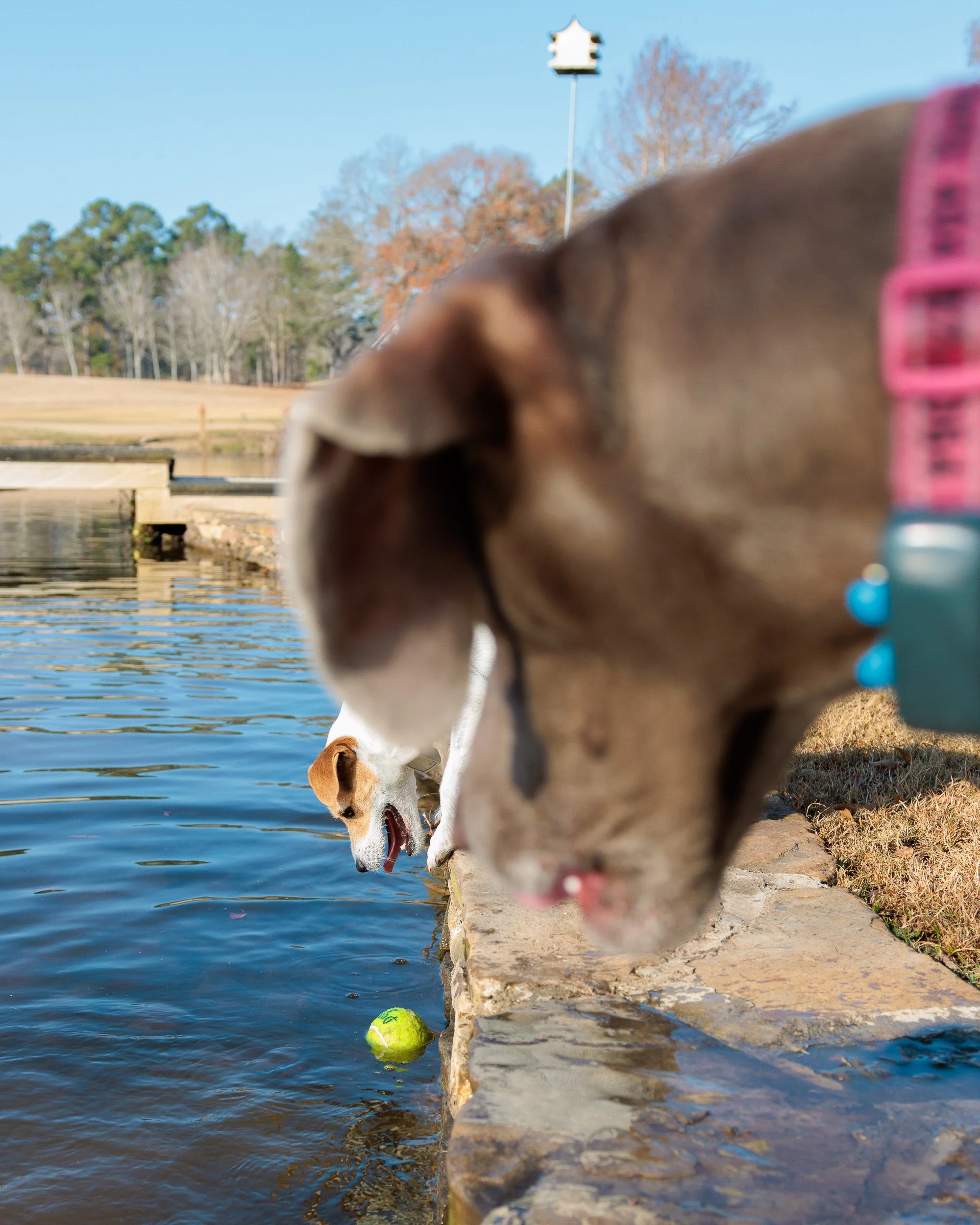 Last Morning at the Lake-05.jpg