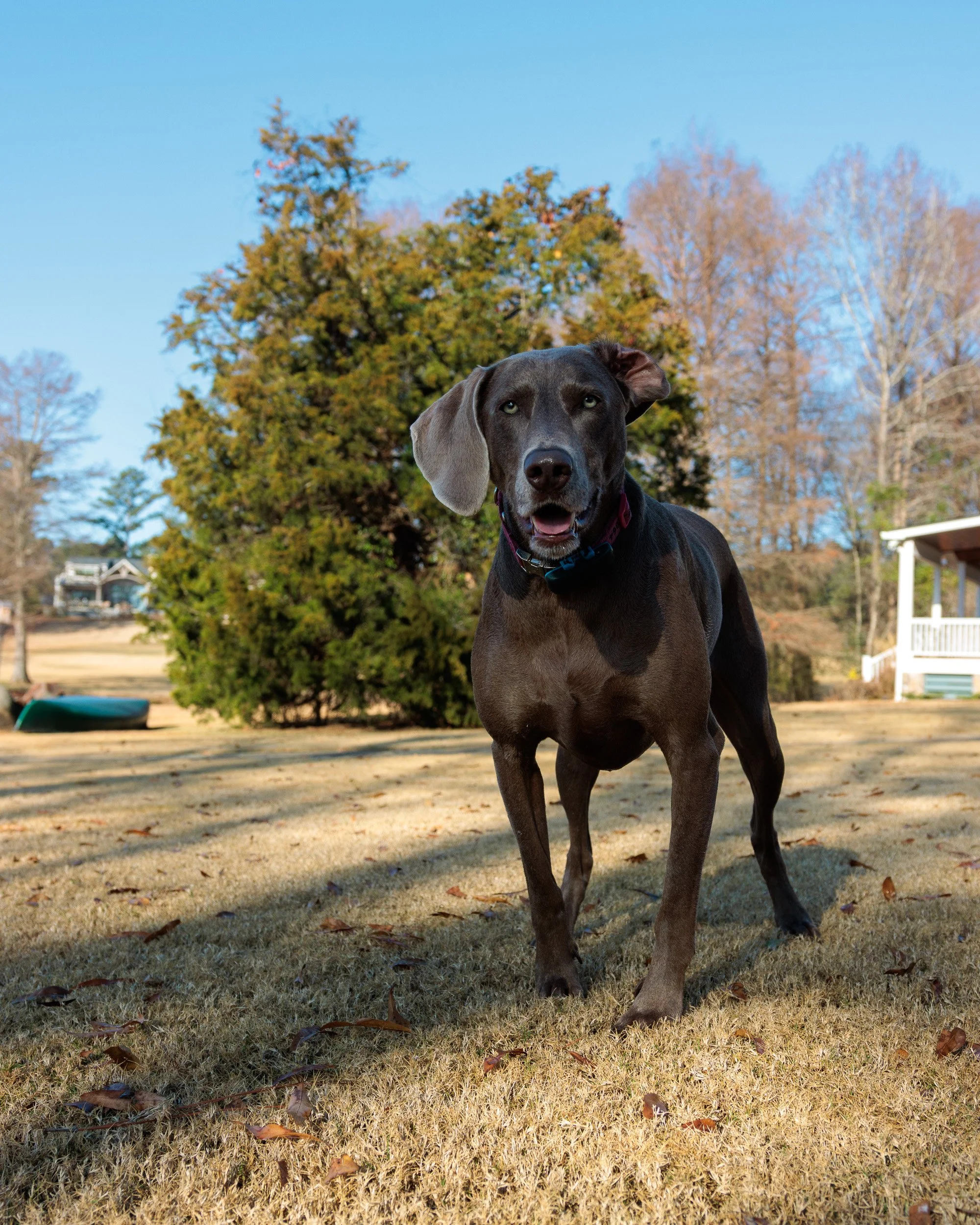 Last Morning at the Lake-06.jpg