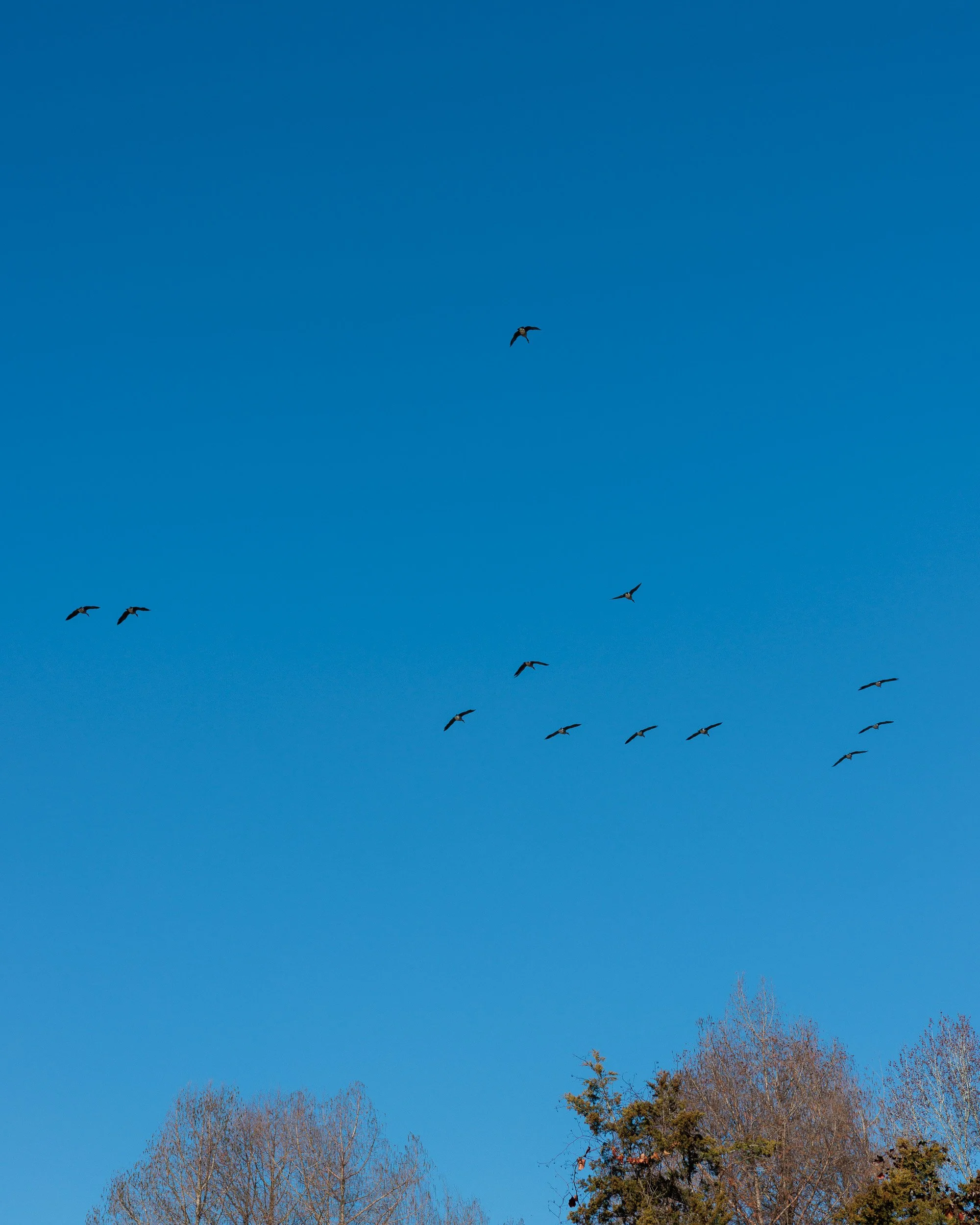 Last Morning at the Lake-08.jpg
