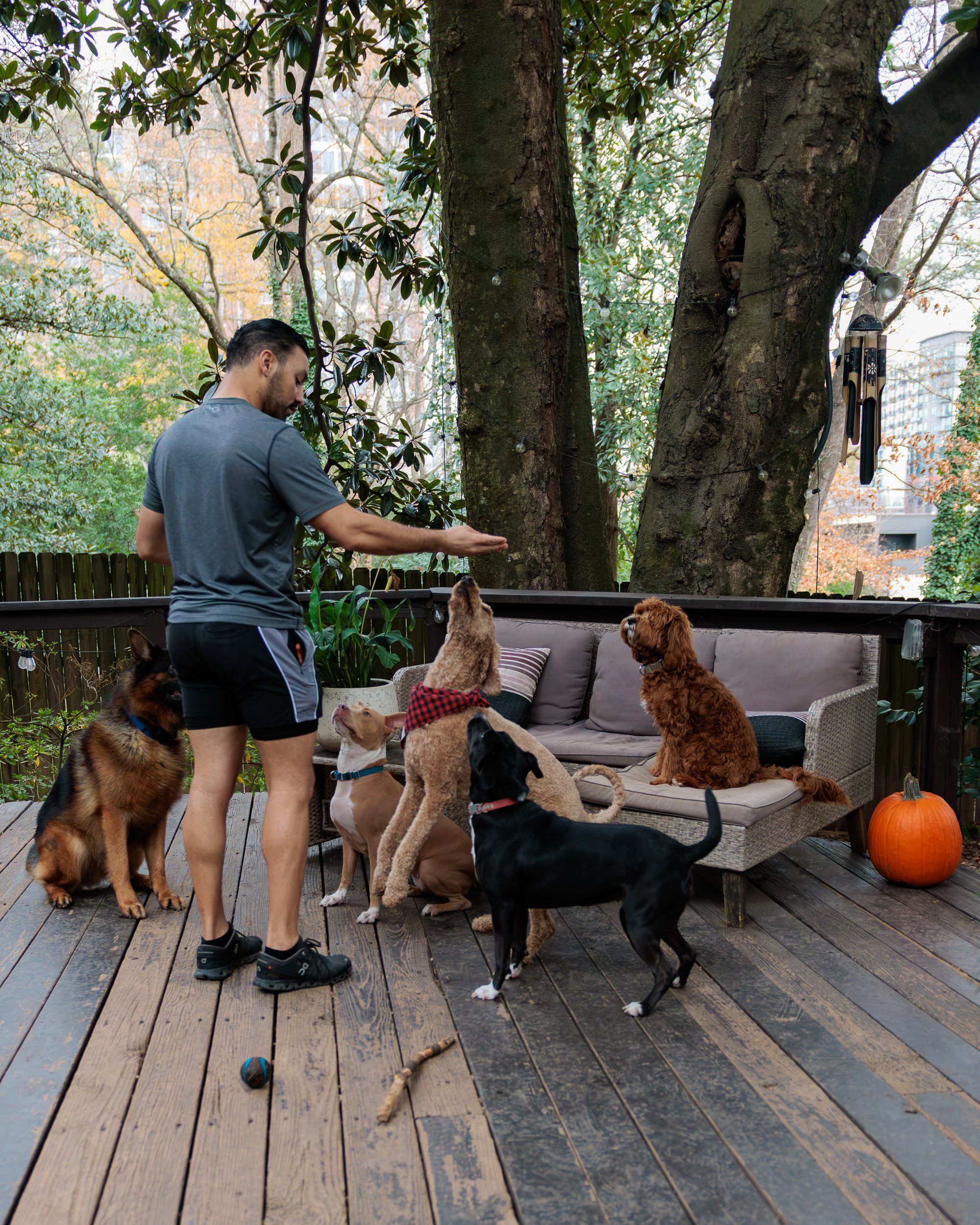 Boxing Day with the Pack-14.jpg