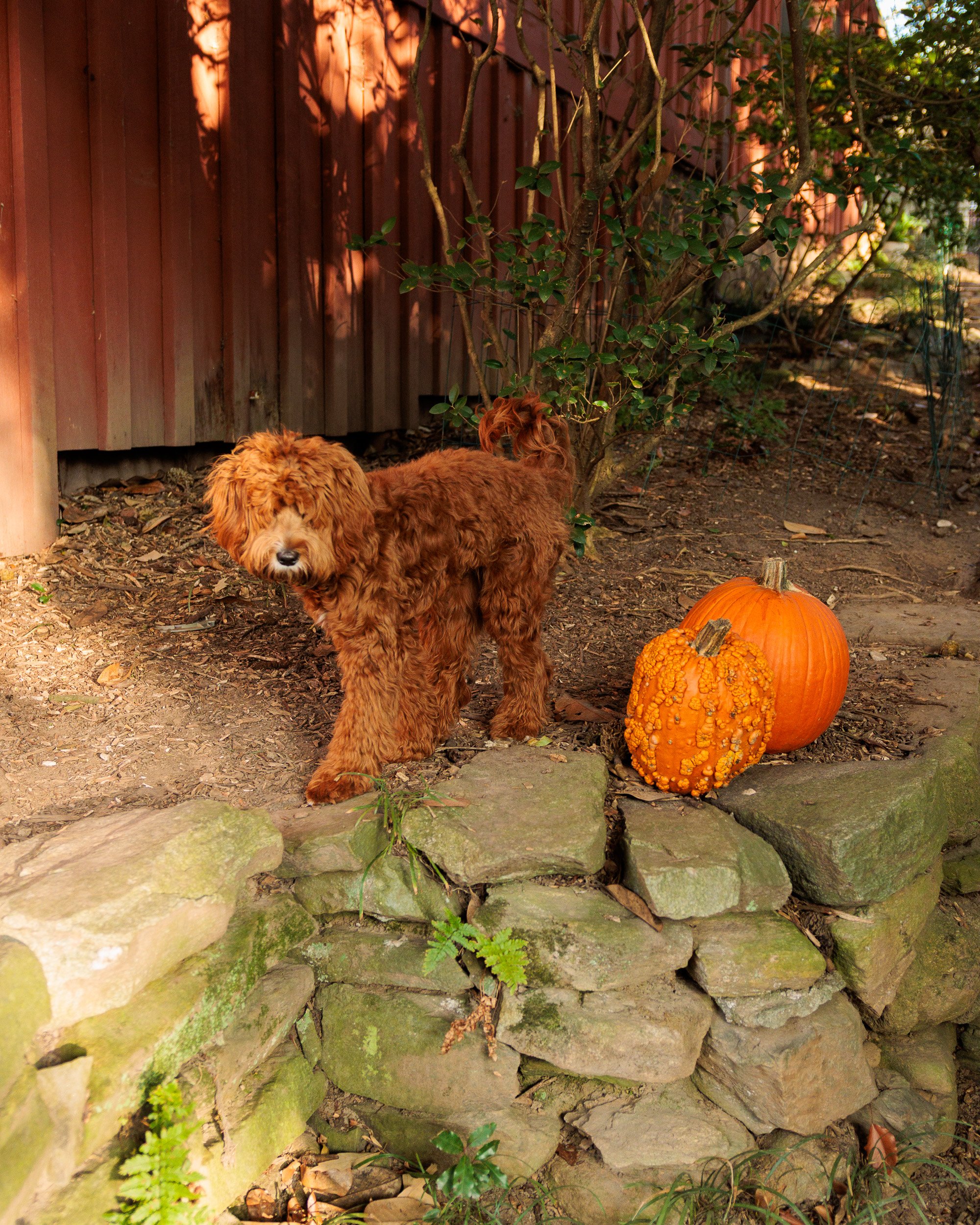 Morning Light on the Porch-11.jpg