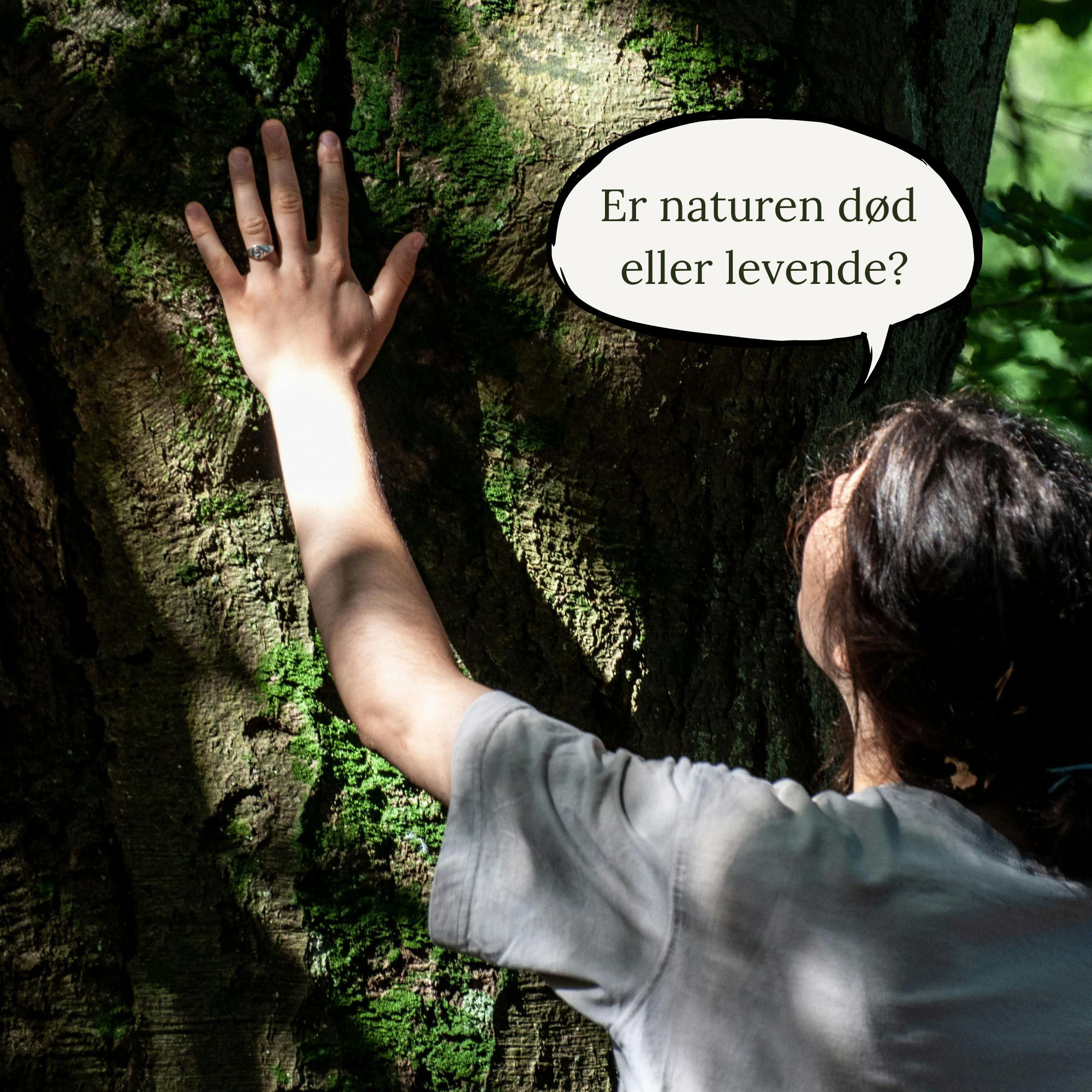 Naturetalk: Vil vi aflive eller genoplive naturen? Dine ord har større indflydelse end du tror!