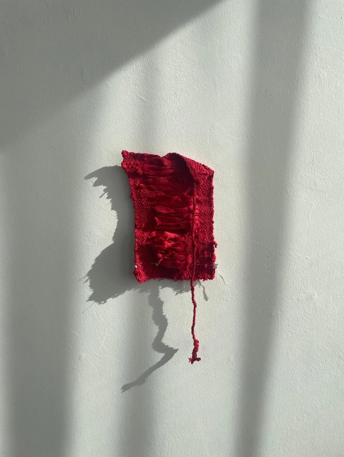 &bdquo;Du bist die Zukunft, gro&szlig;es Morgenrot.&ldquo;

Rilke

Photo: @galerienorbertarns 

#rot #kunst #art #textile #fashion
