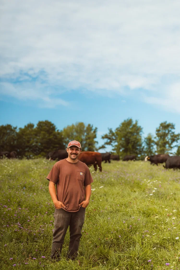 Farmer with cattle grazing on upstate New York farm in Schoharie County