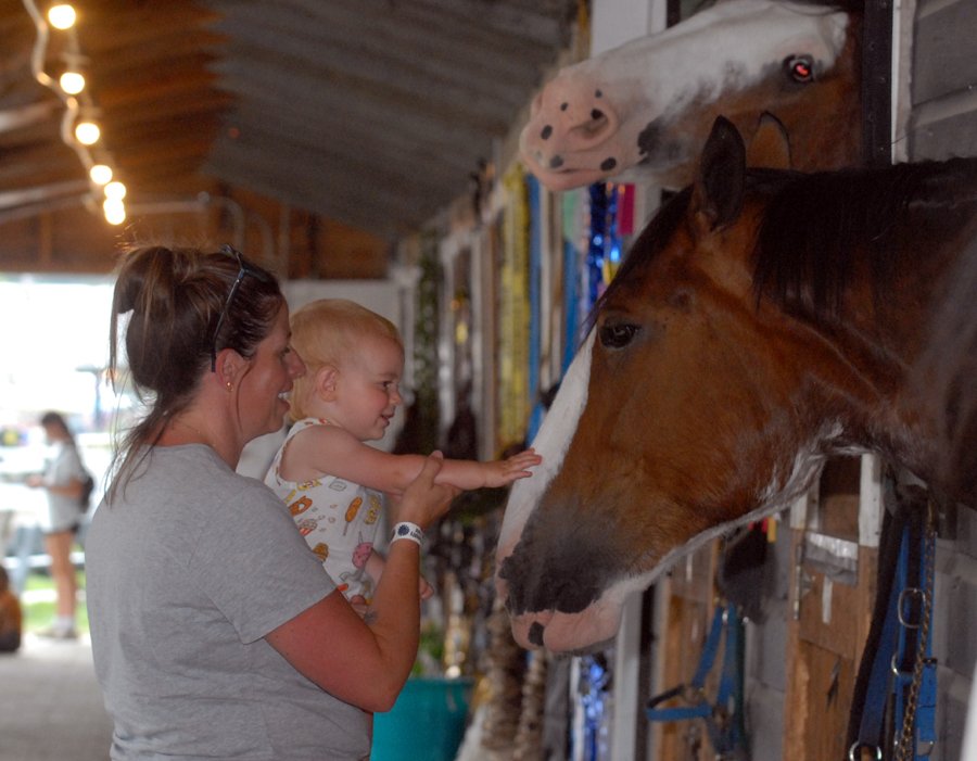 Mom and daughter petting a horse at the Schoharie County Fair, in a small town in upstate New York