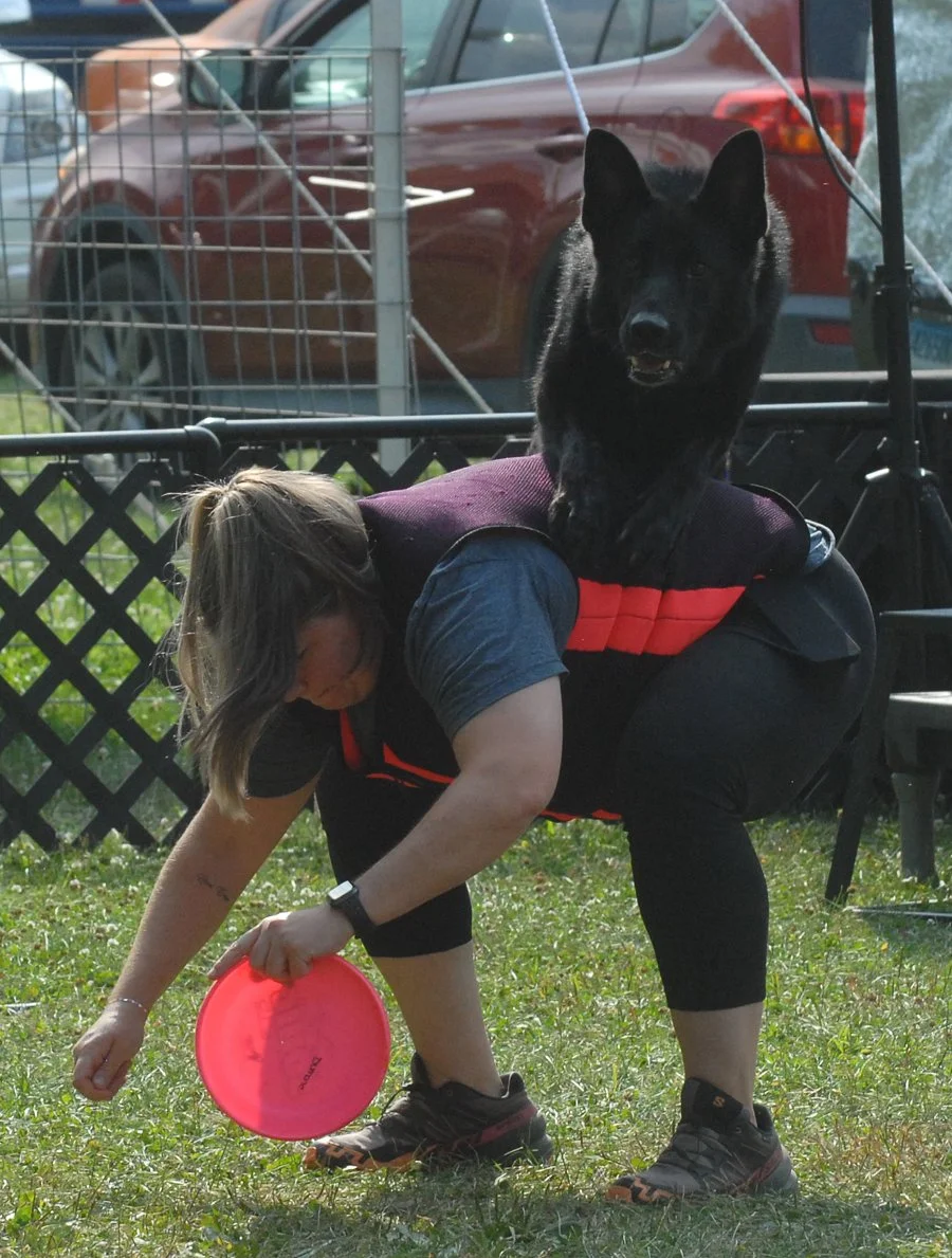 Fair Central NY Canbine Performance Dogs.jpg