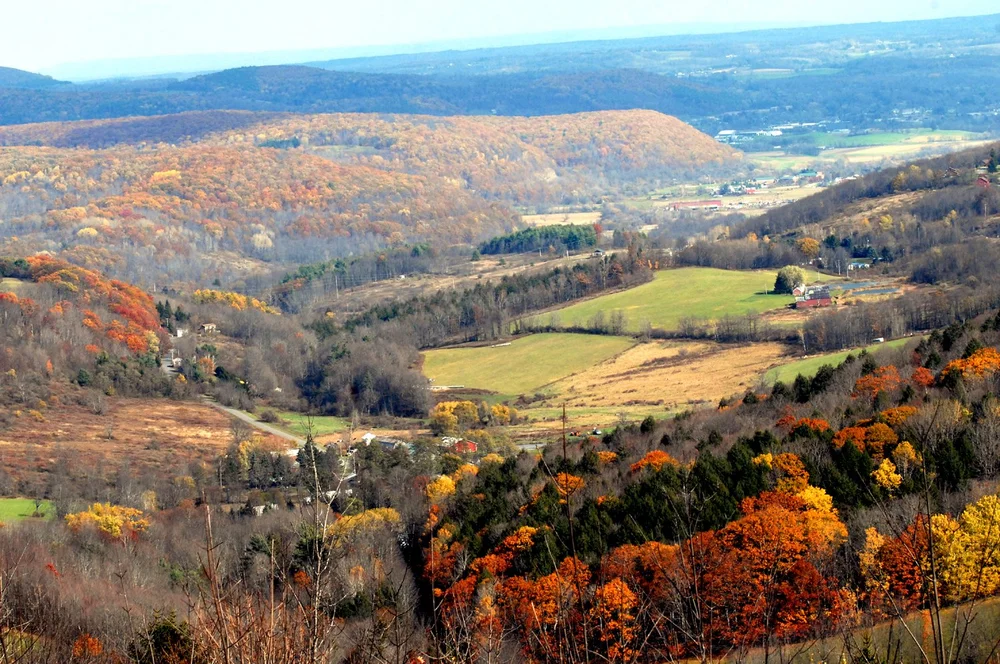11.3.25 Cobleskill from Summit Conservation Club.jpg