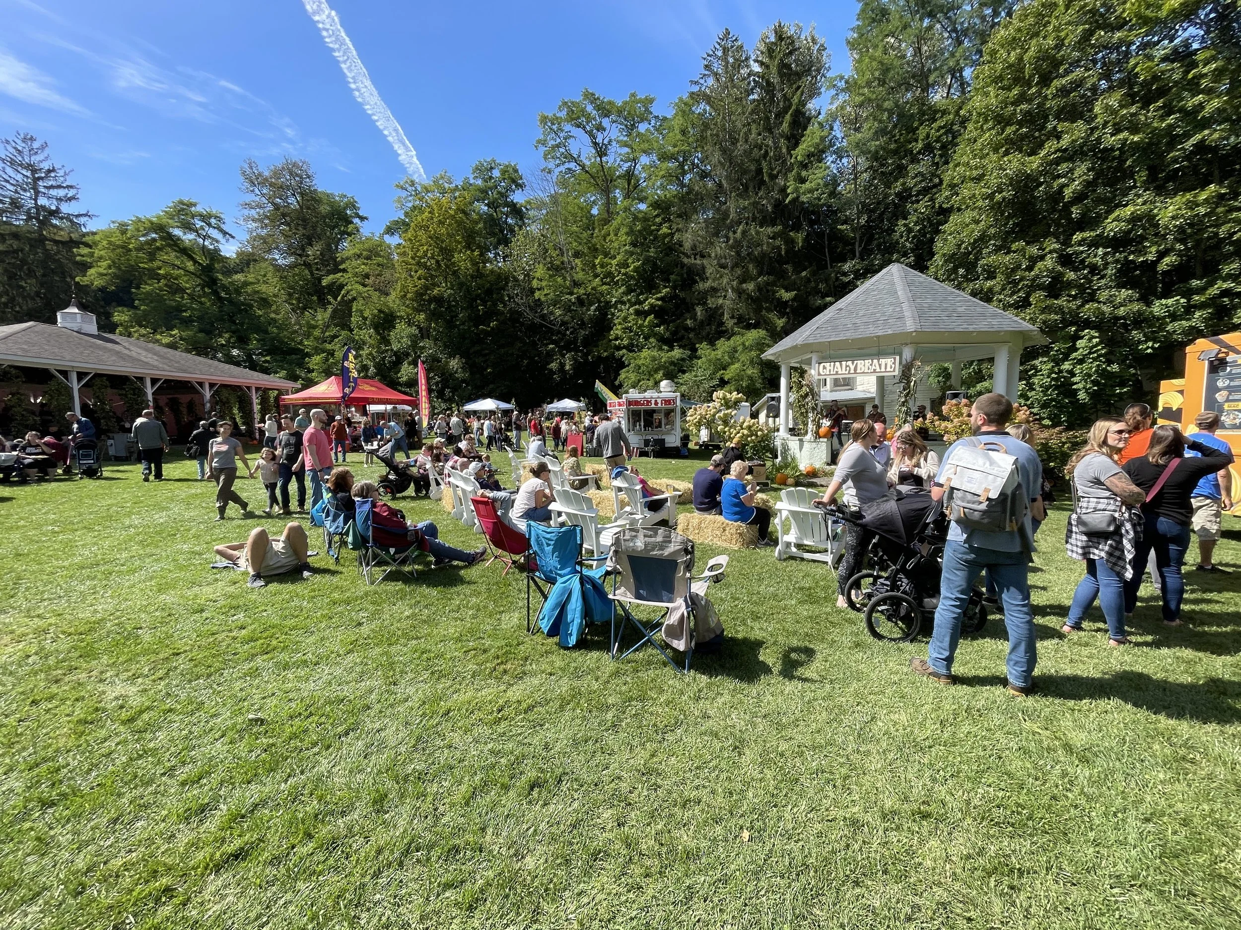 Chalybeate Park CREDIT Visit Schoharie County.JPG