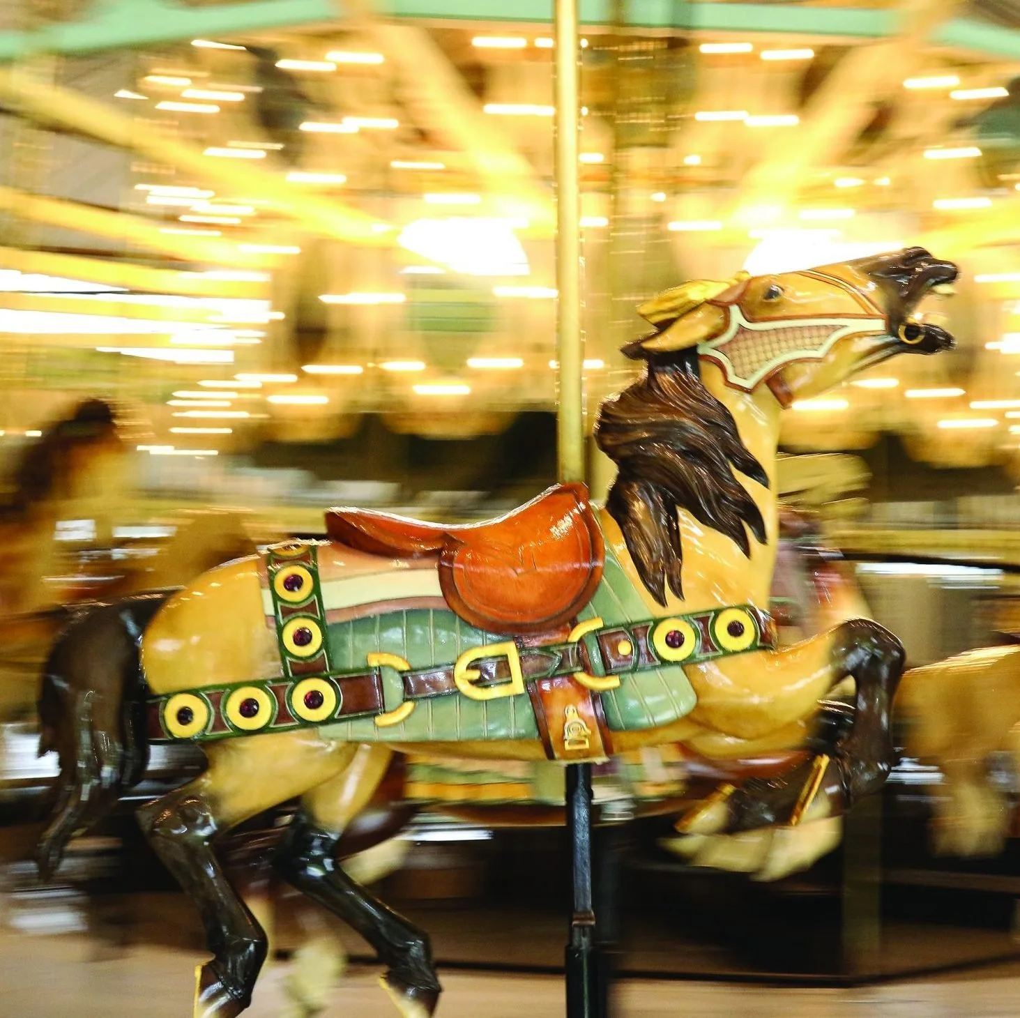 carousel-3-2048x1463-1-edited.jpg