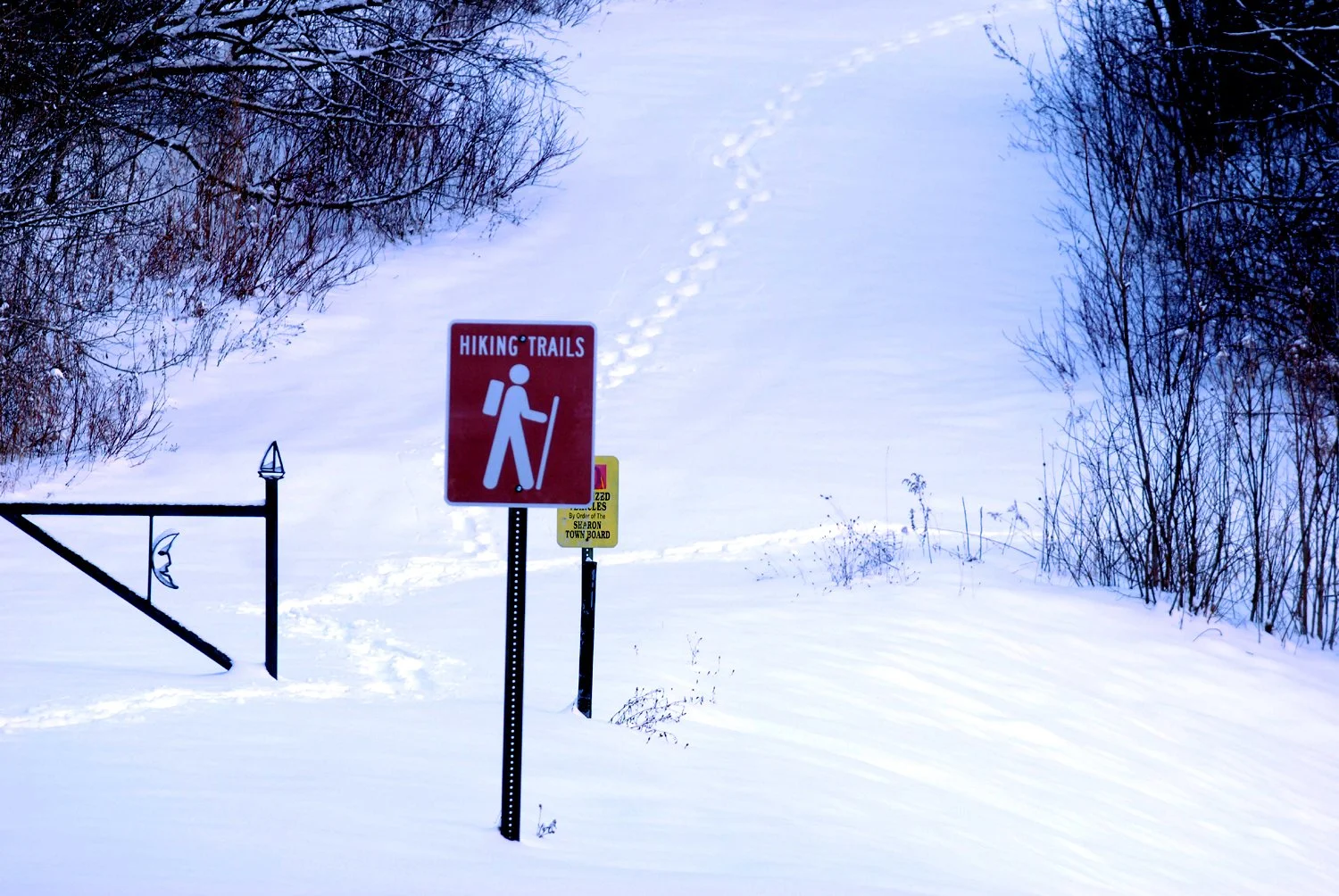 12.27 hiking trails.jpg