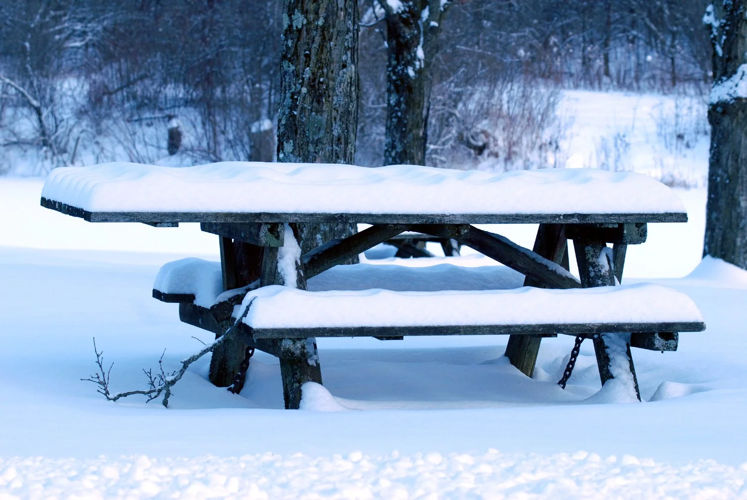 12.27 picnic table.jpg