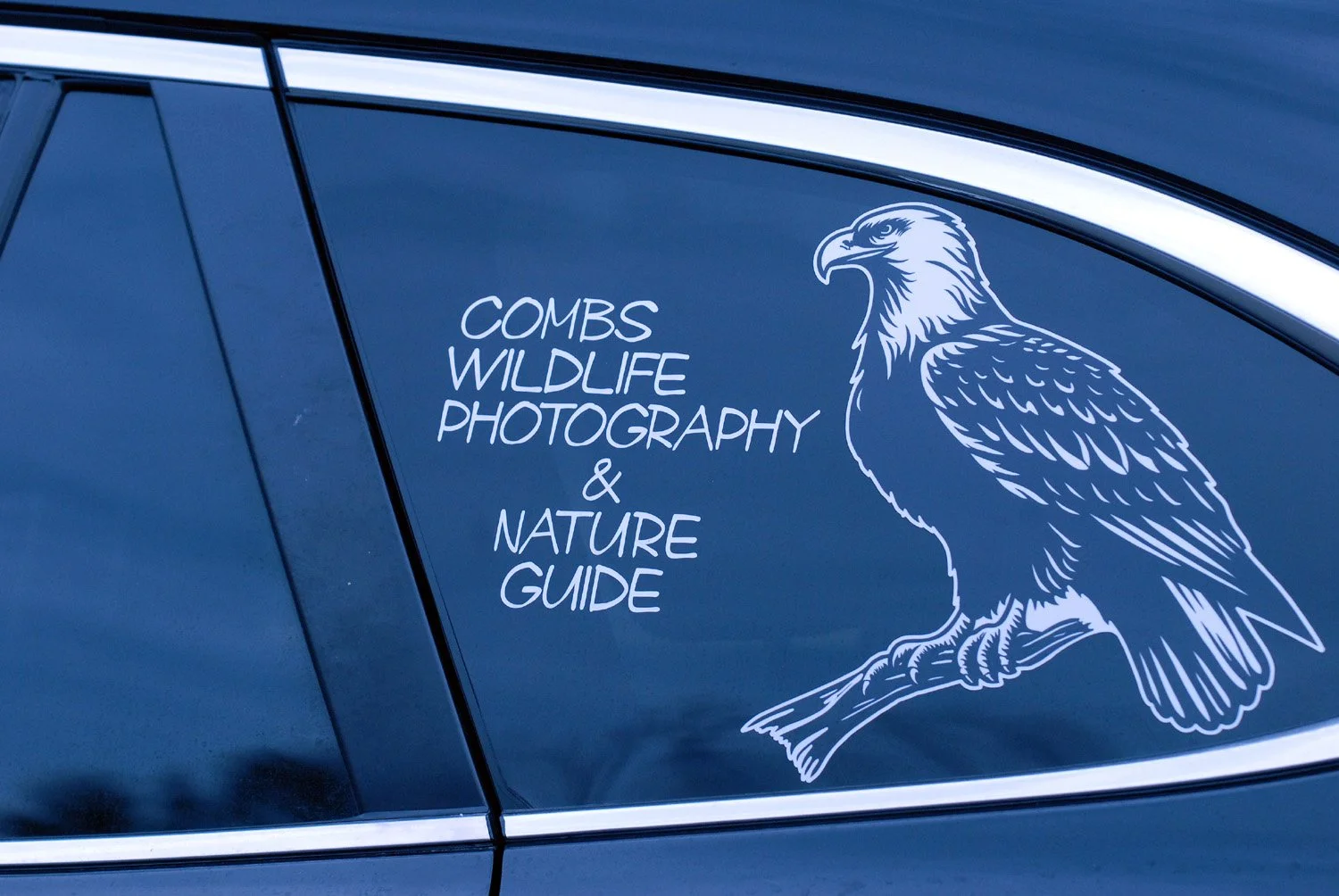 SEEC. Bill car sign.jpg