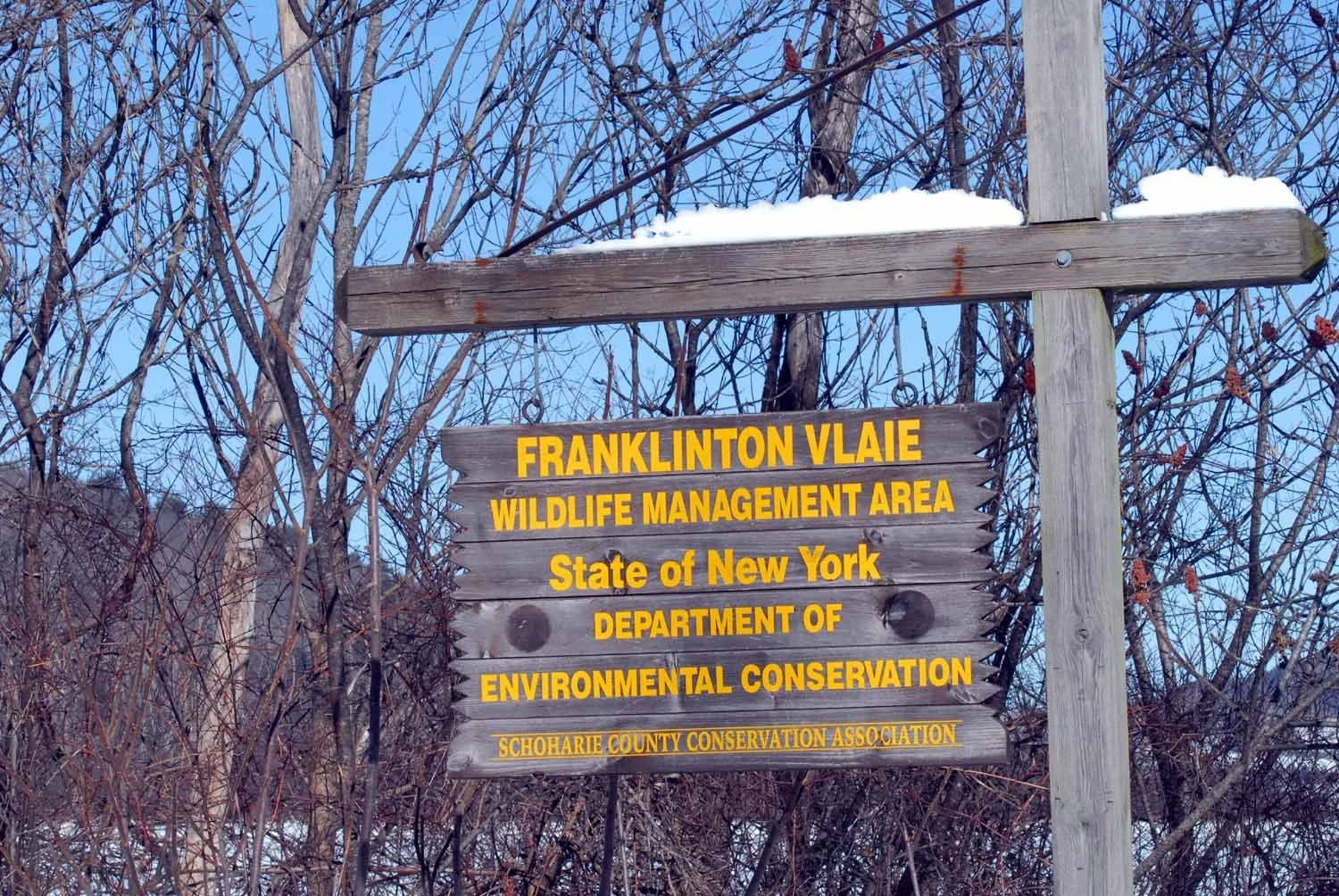 SEEC. Franklinton Vlaie.jpg