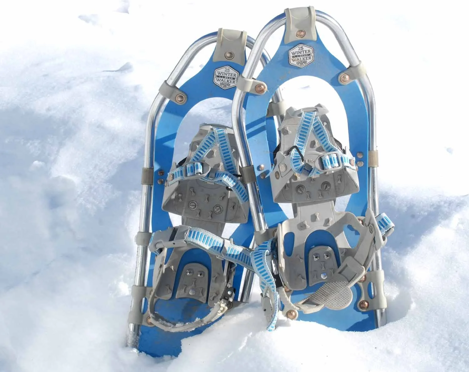 SEEC. Sharon snowshoes.jpg