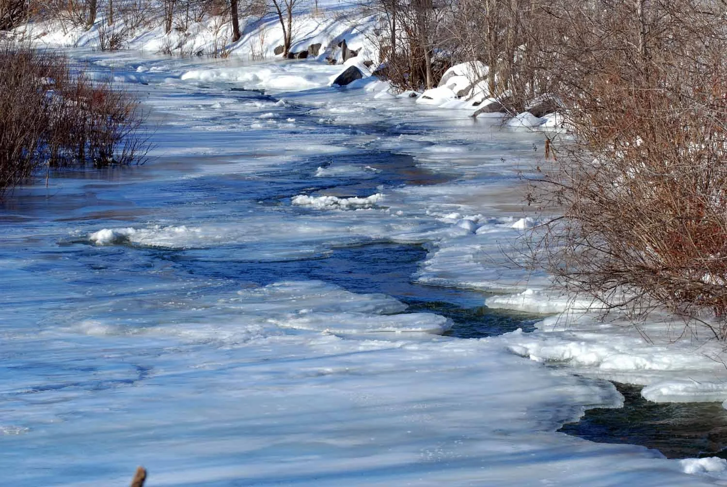 SEEC. Warnerville Cutoff creek.jpg