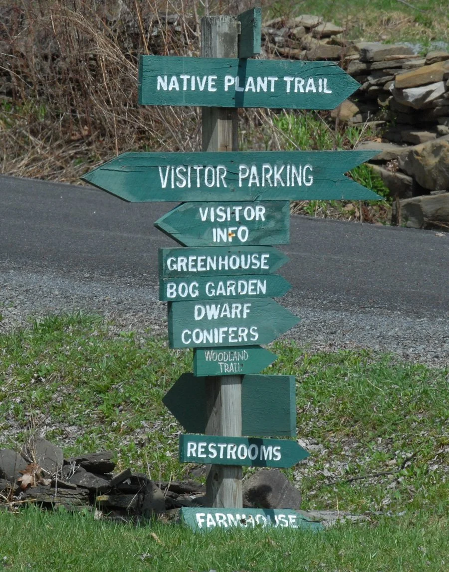 Landis. green sign.jpg