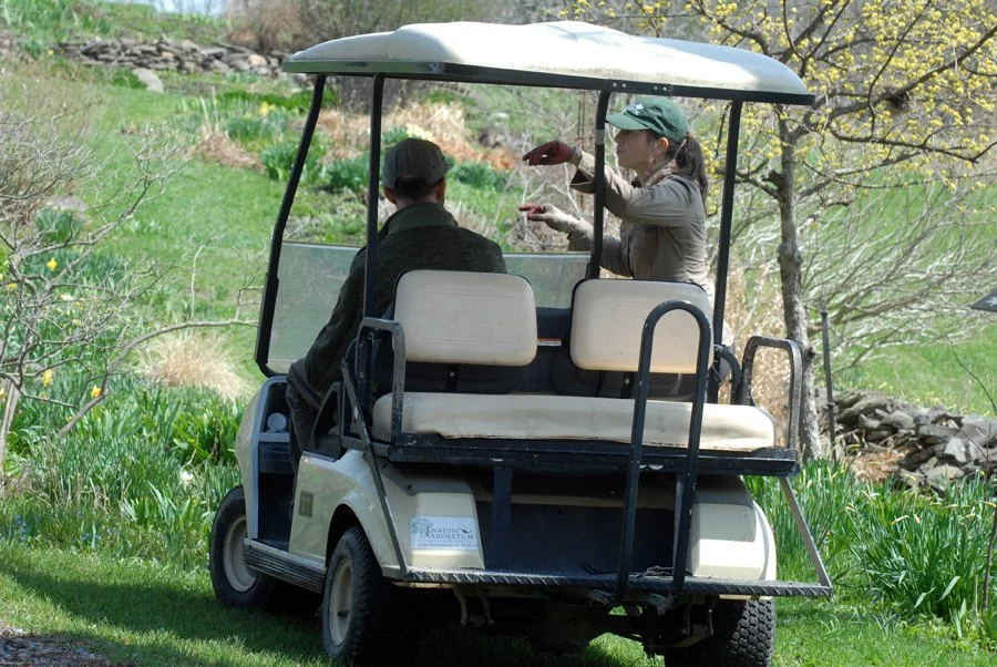 Landis. garden cart.jpg