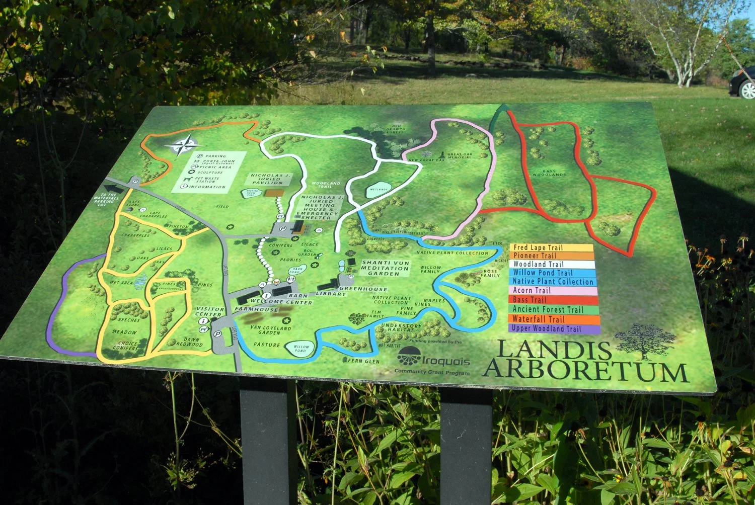 A map showing the trails at the Landis Arboretum in Esperance.
