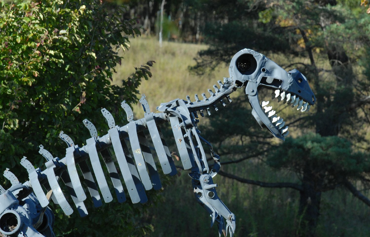 10.8.25 Arb dino.jpg