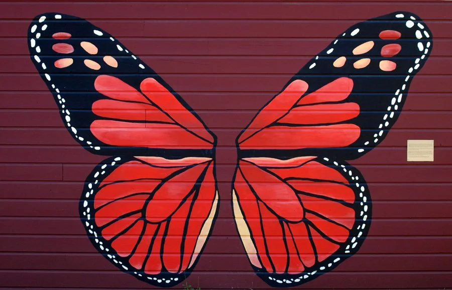 10.8.25 Arb monarch wings.jpg