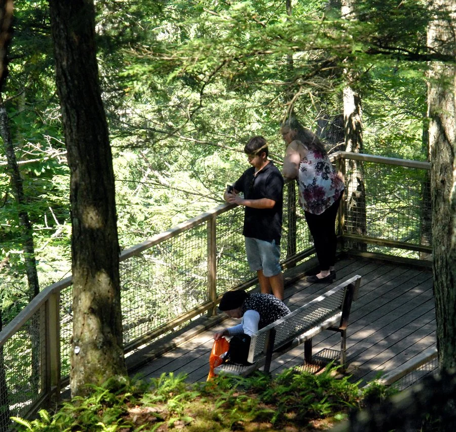 MKF. overlook friends.jpg