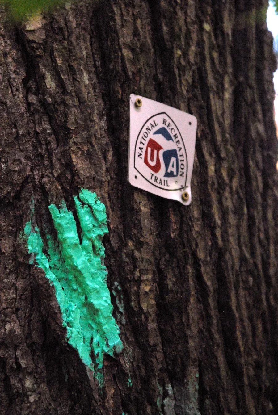 MKF. signs on tree.jpg
